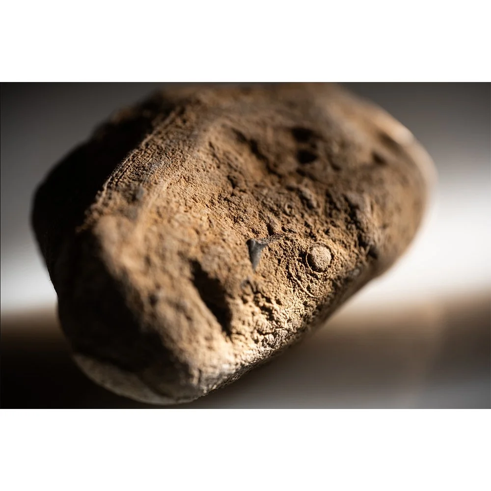 STONE- STONE FACE #1516-Web.jpg