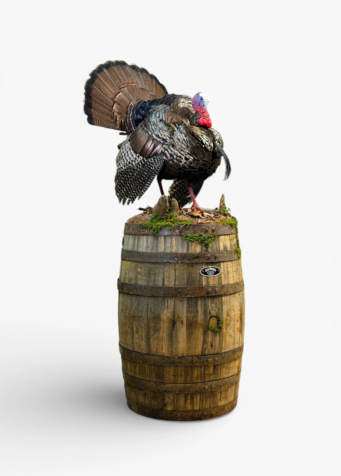 full strut lifesize turkey taxidermy on custom habitat