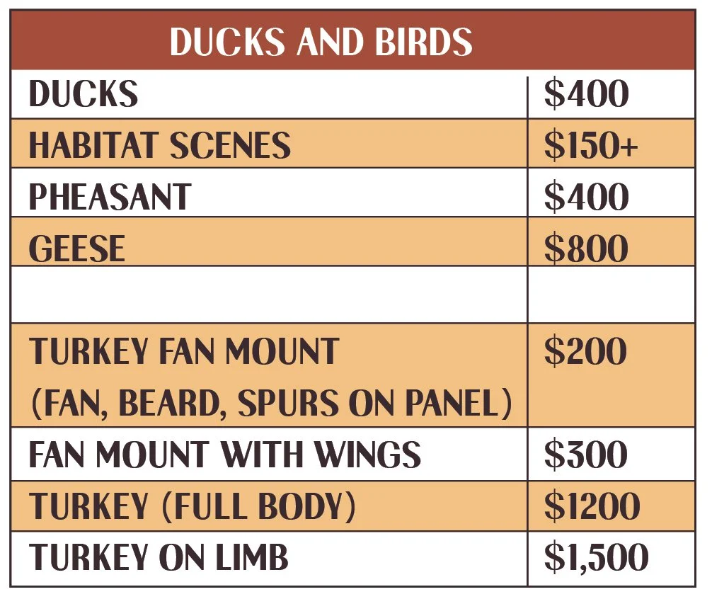 Pricing for duck, turkey, and geese taxidermy