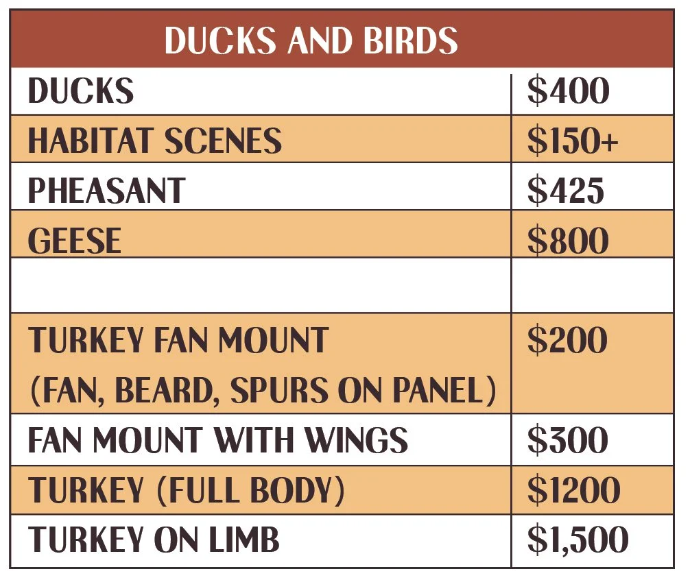 Duck and Turkey taxidermy pricing for 2026