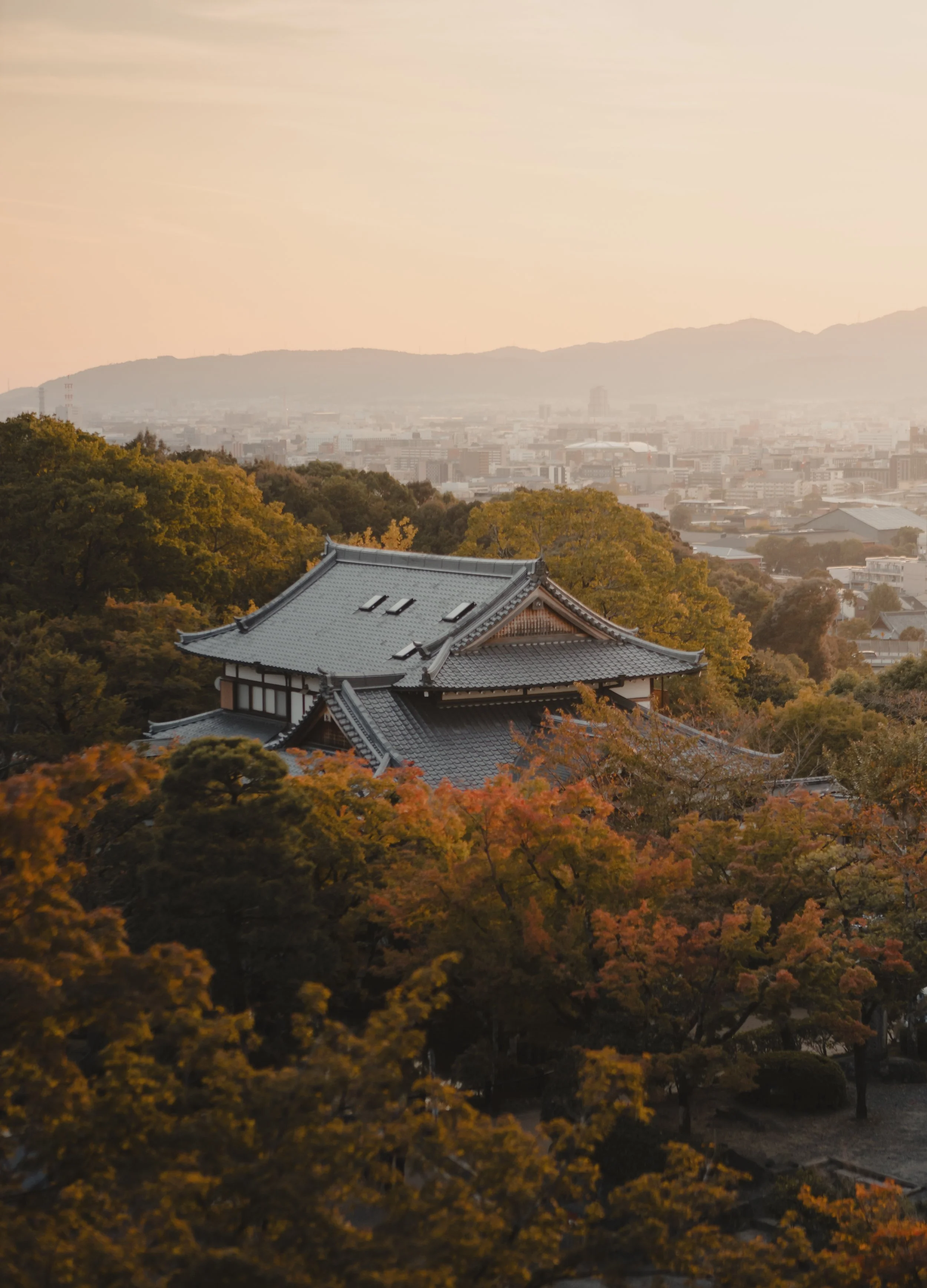 Japan 5.jpg