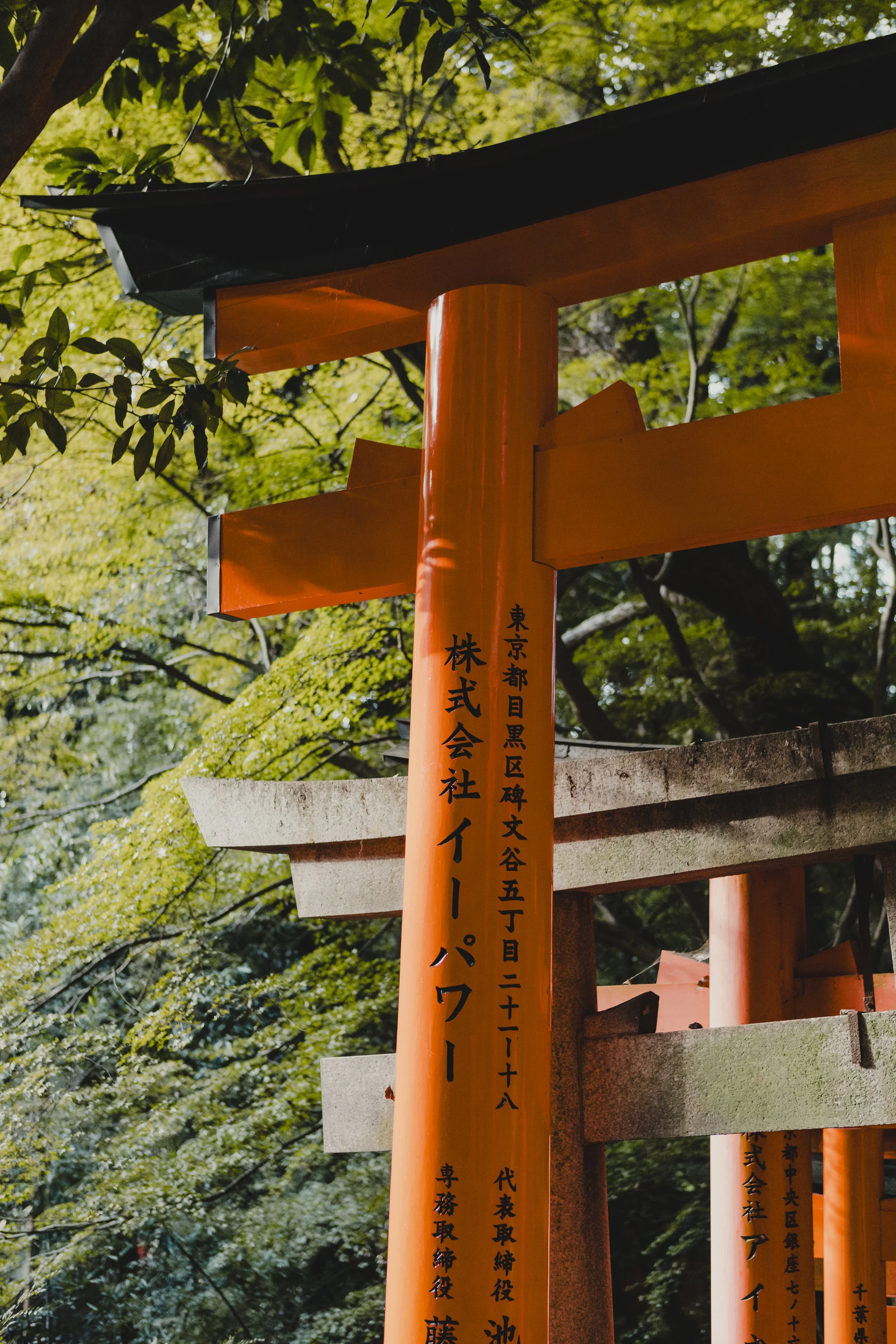 Japan 4.jpg
