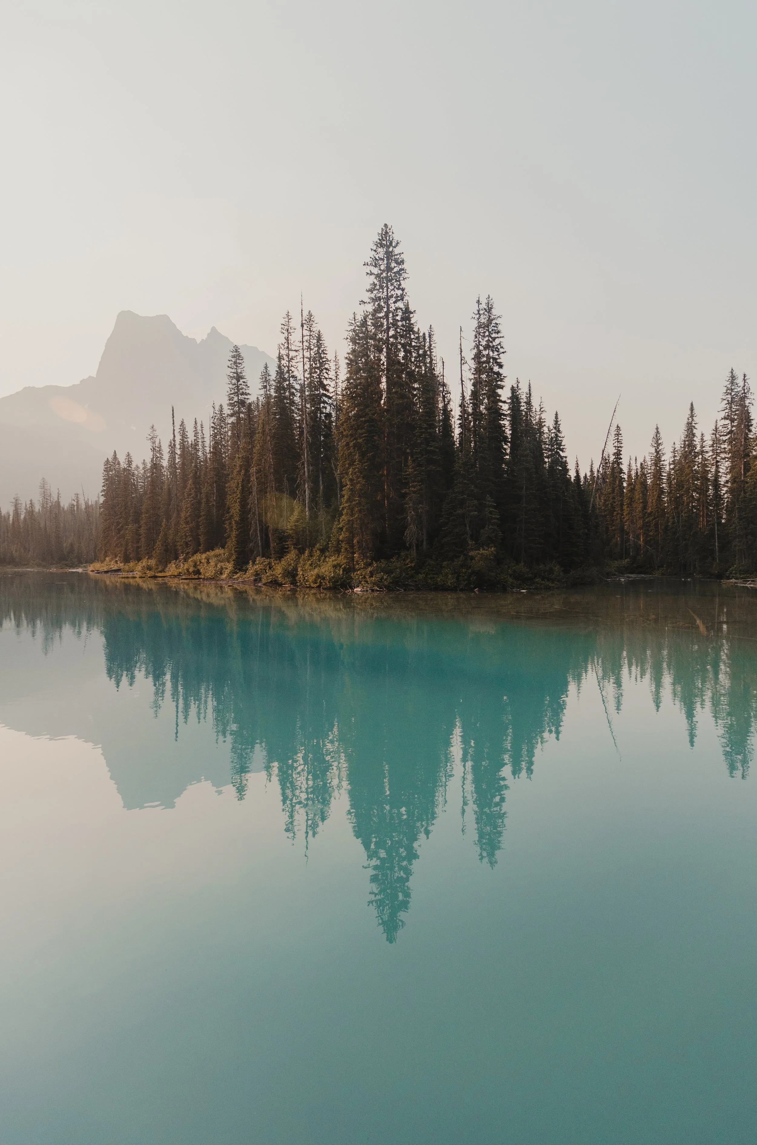 Alberta 1.jpg