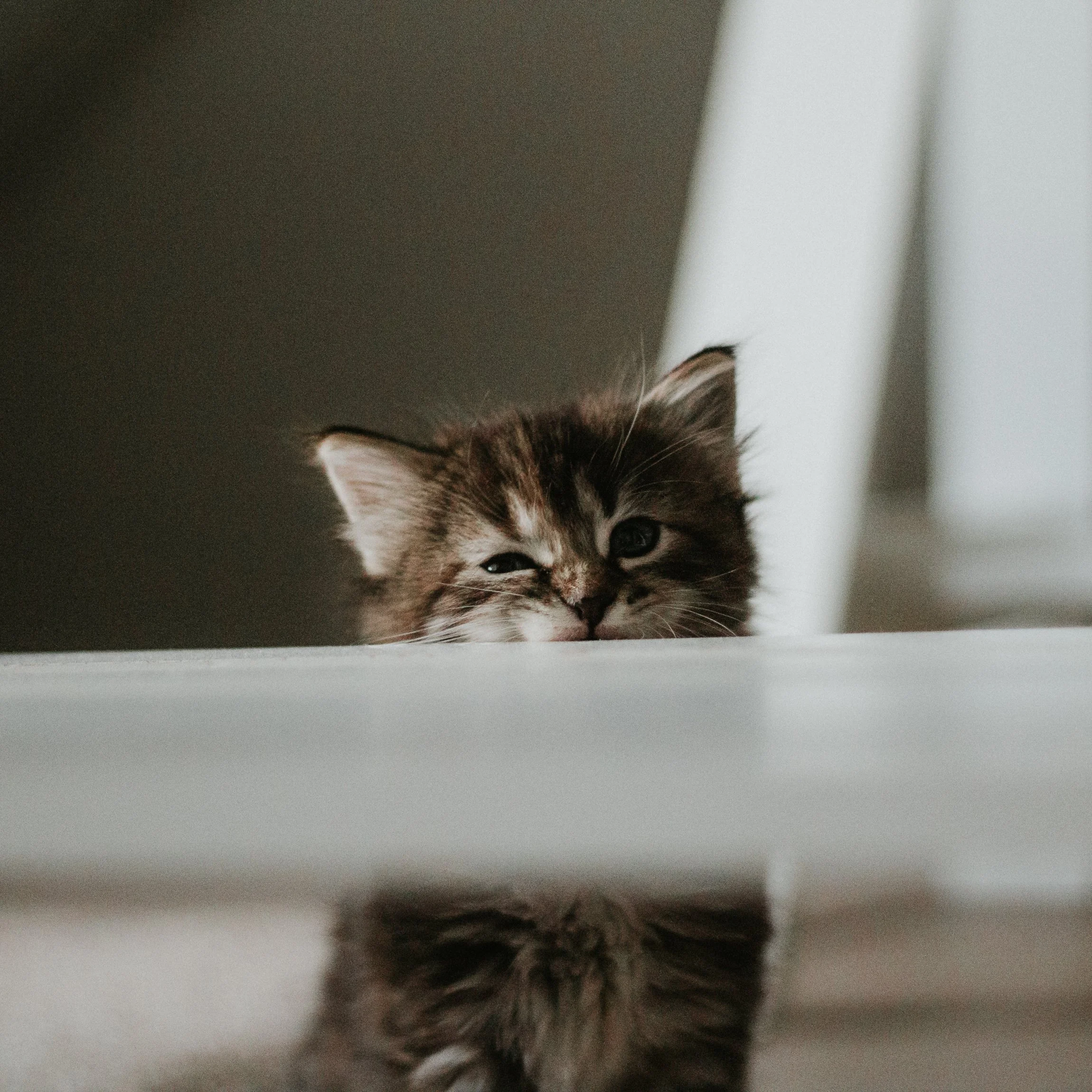Finley 1.jpg
