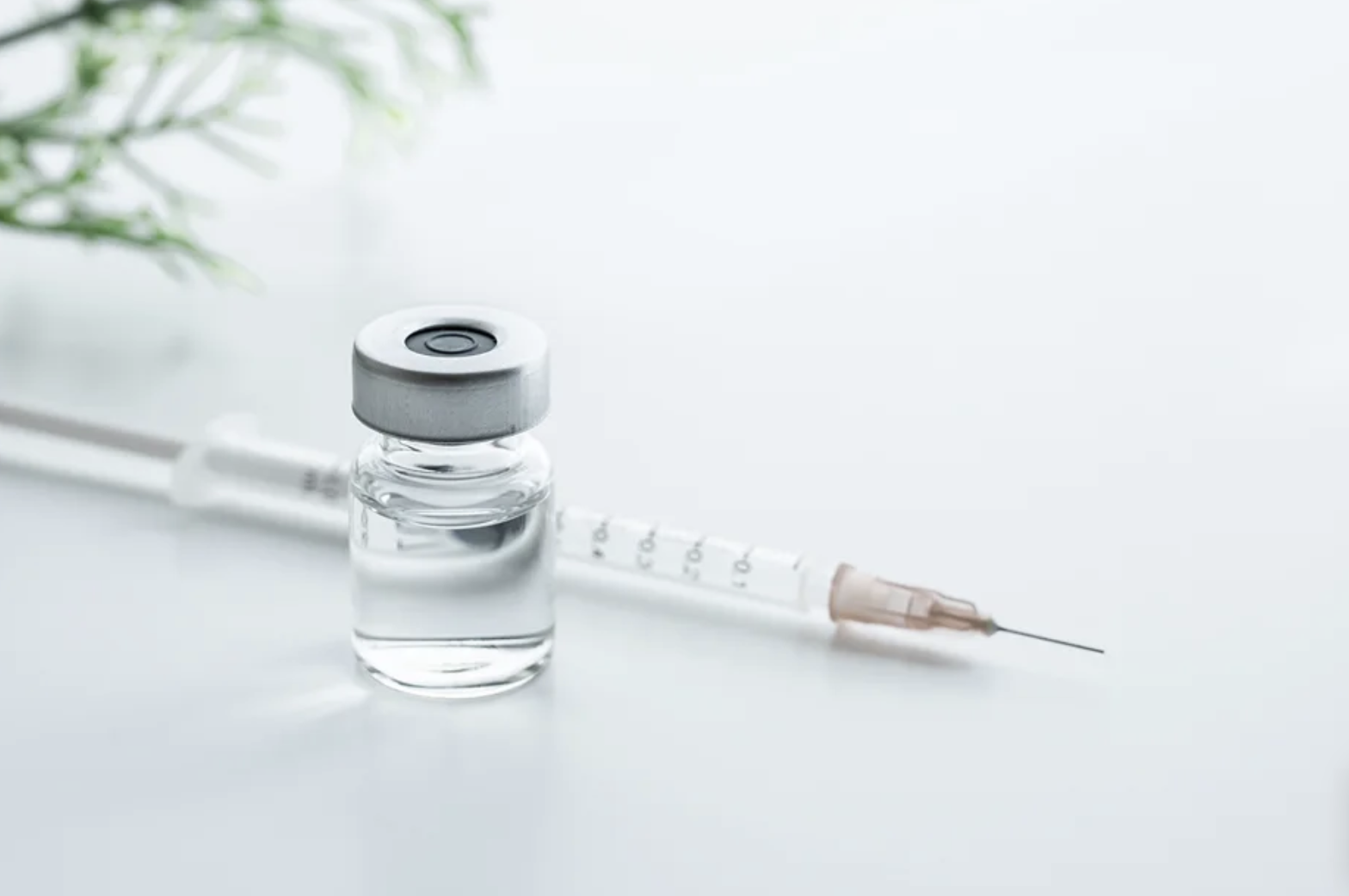 Vial with liquid and syringe on white background, with plant in background.