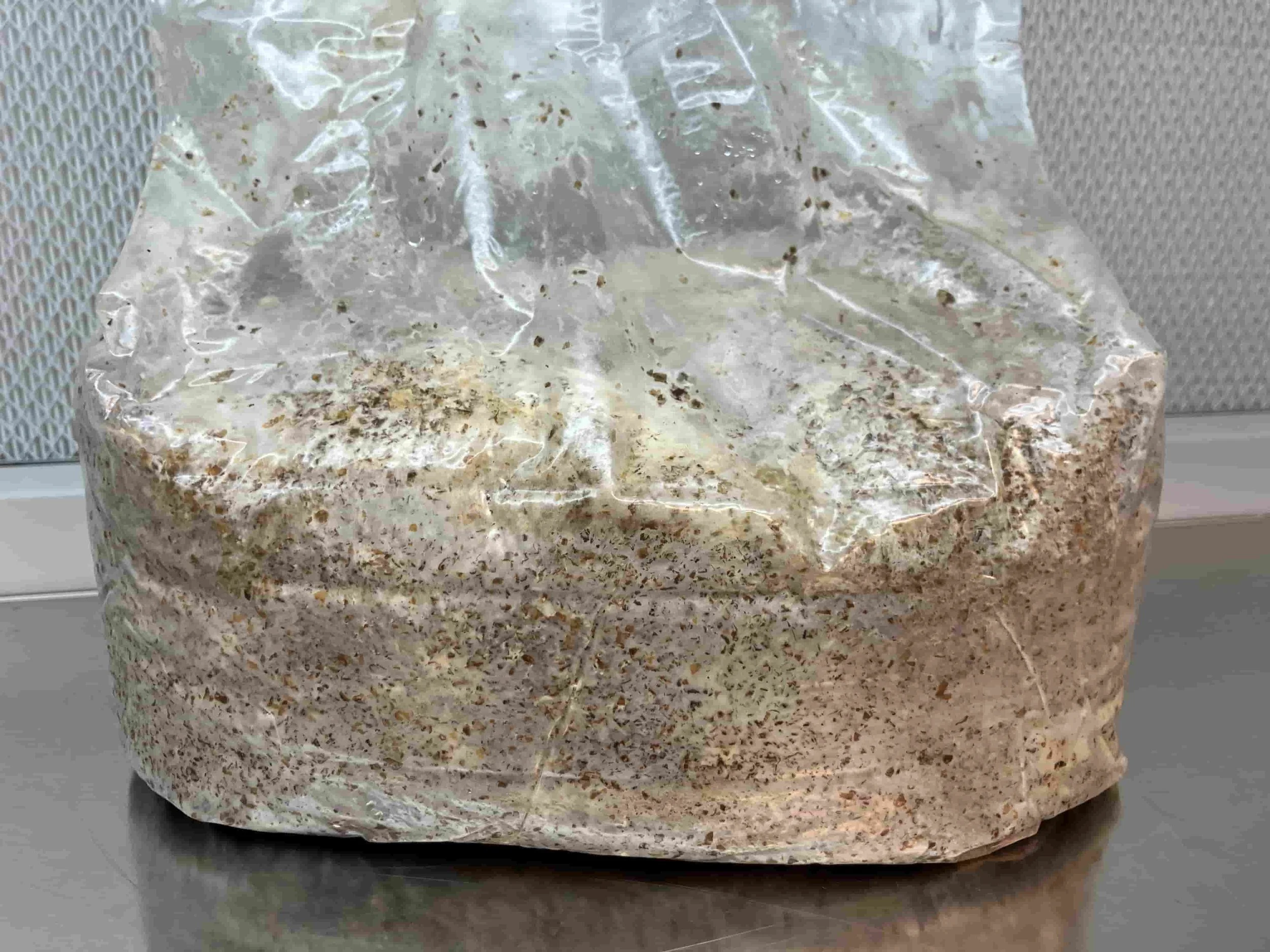 Colonized mushroom substrate