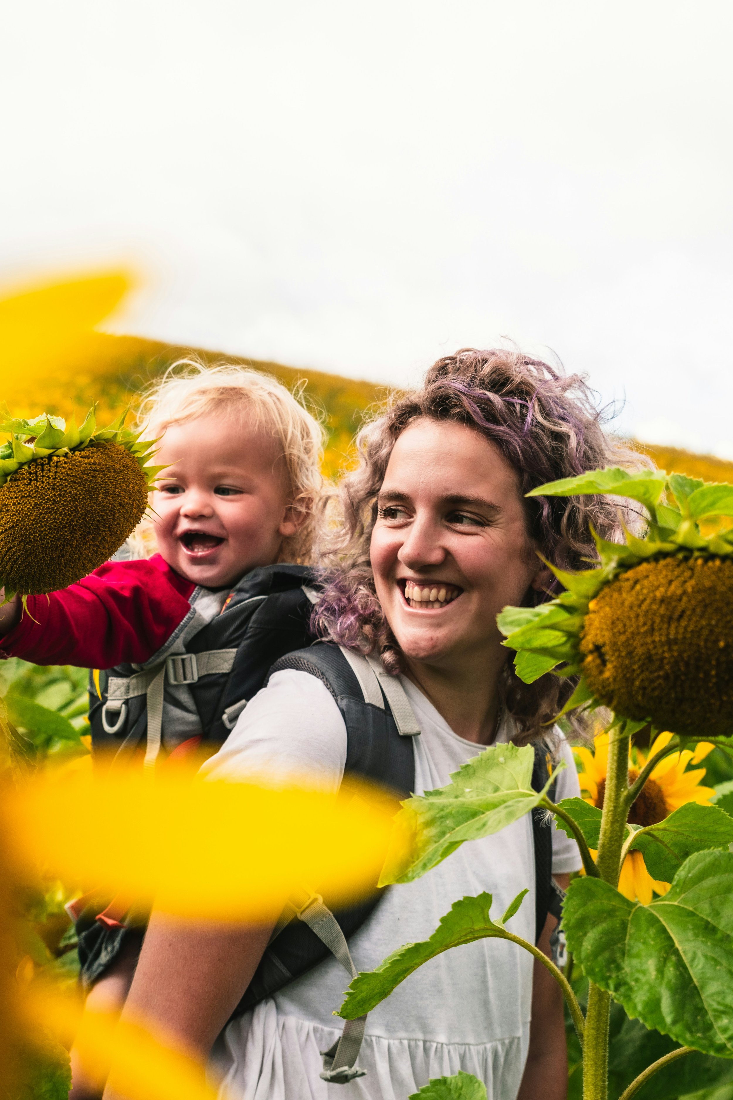 What Is Emotional Regulation? Hint: It Does Not Mean Calm