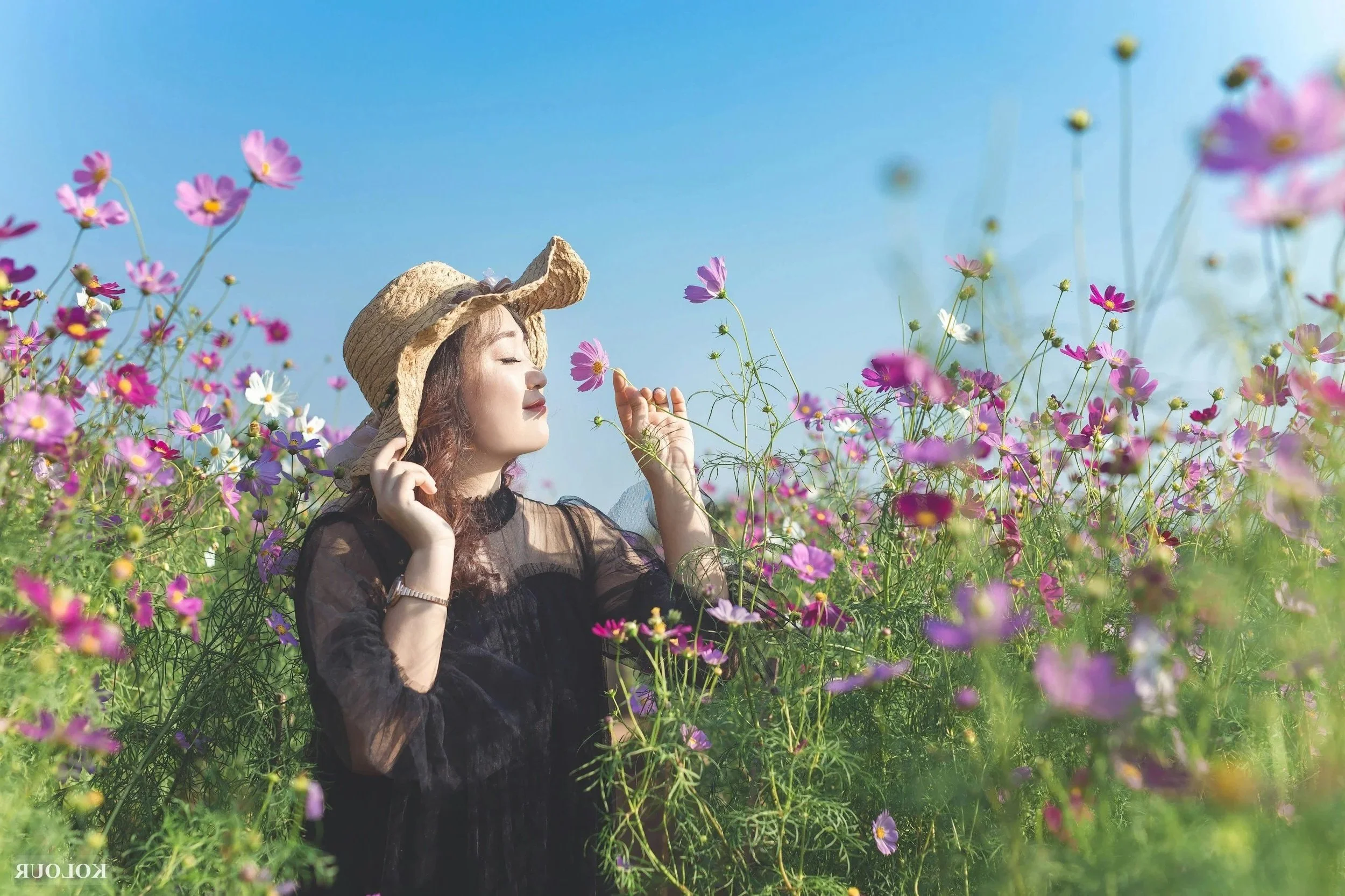 A woman with long hair wearing a black dress and a wide-brimmed straw hat stands in a field of pink and purple flowers, holding a flower close to her face with her eyes closed, enjoying the serenity of the scene under a clear blue sky.
