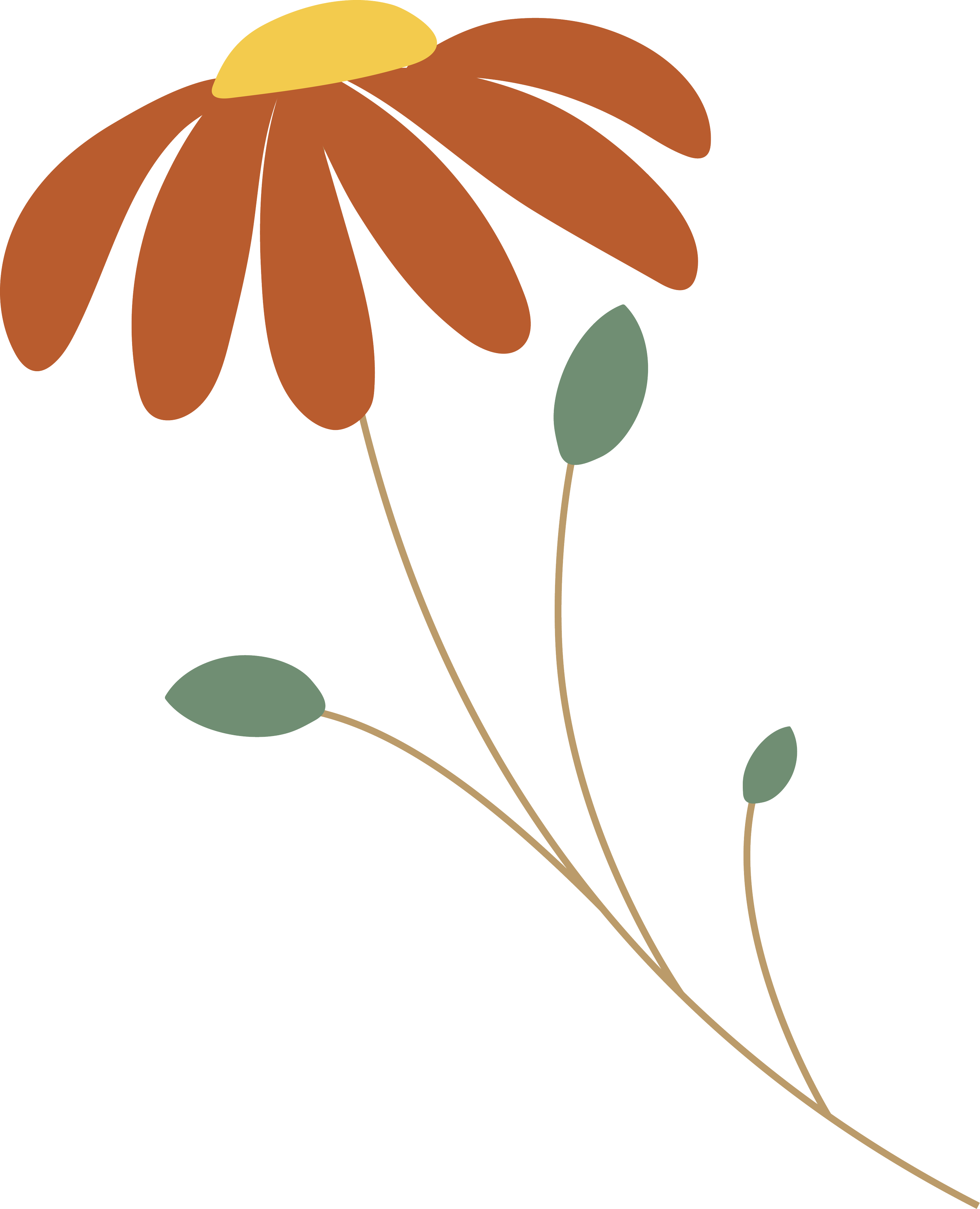 Child Therapist in Montana and Washington