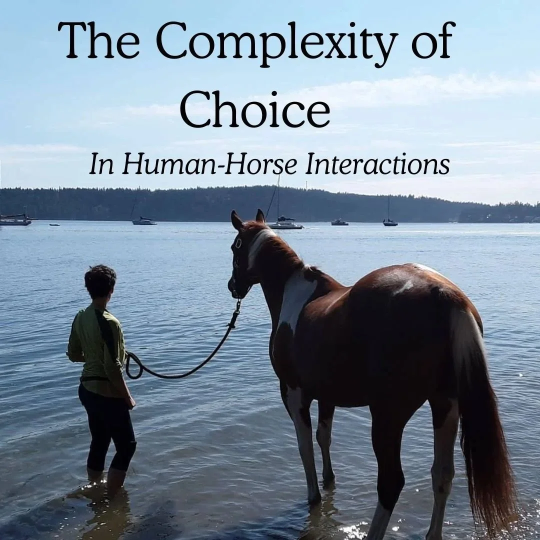 The Complexity of Choice Webinar: February 8 at 10am PT