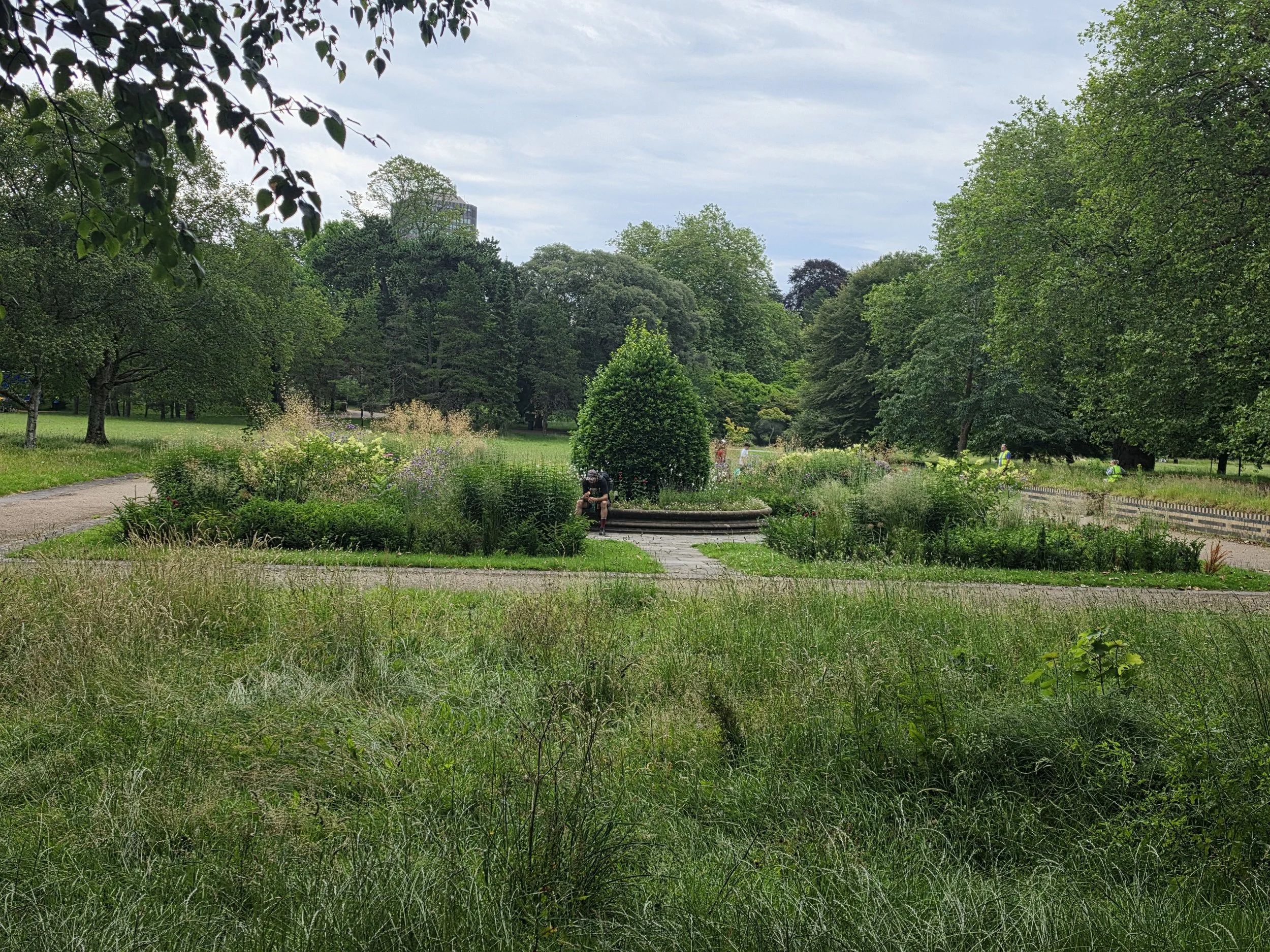 Bute Park