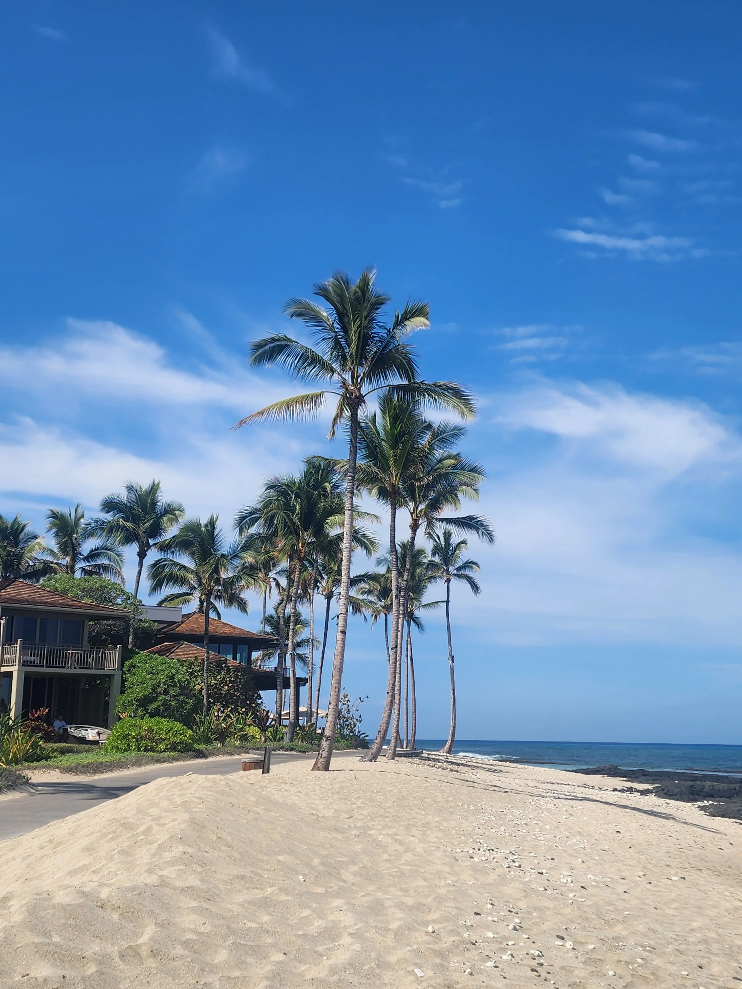 Beach at the resort