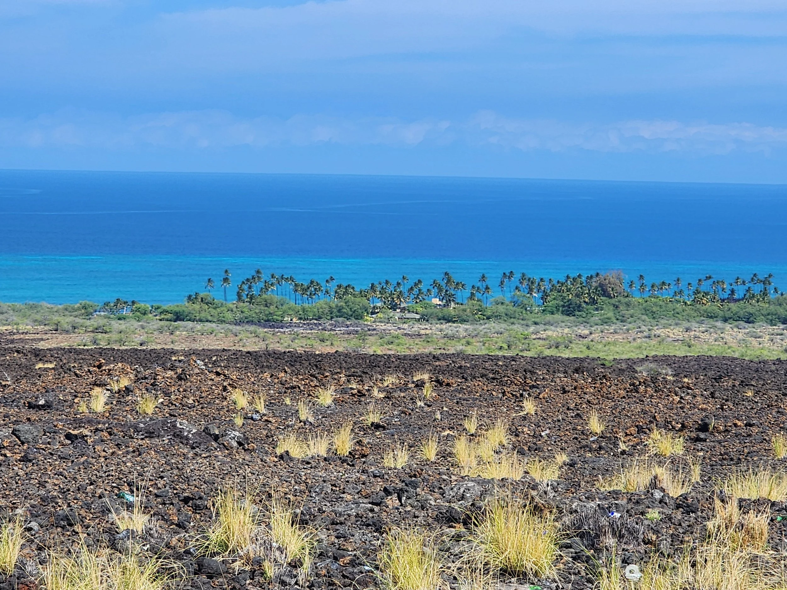 Lava fields leading into the ocean