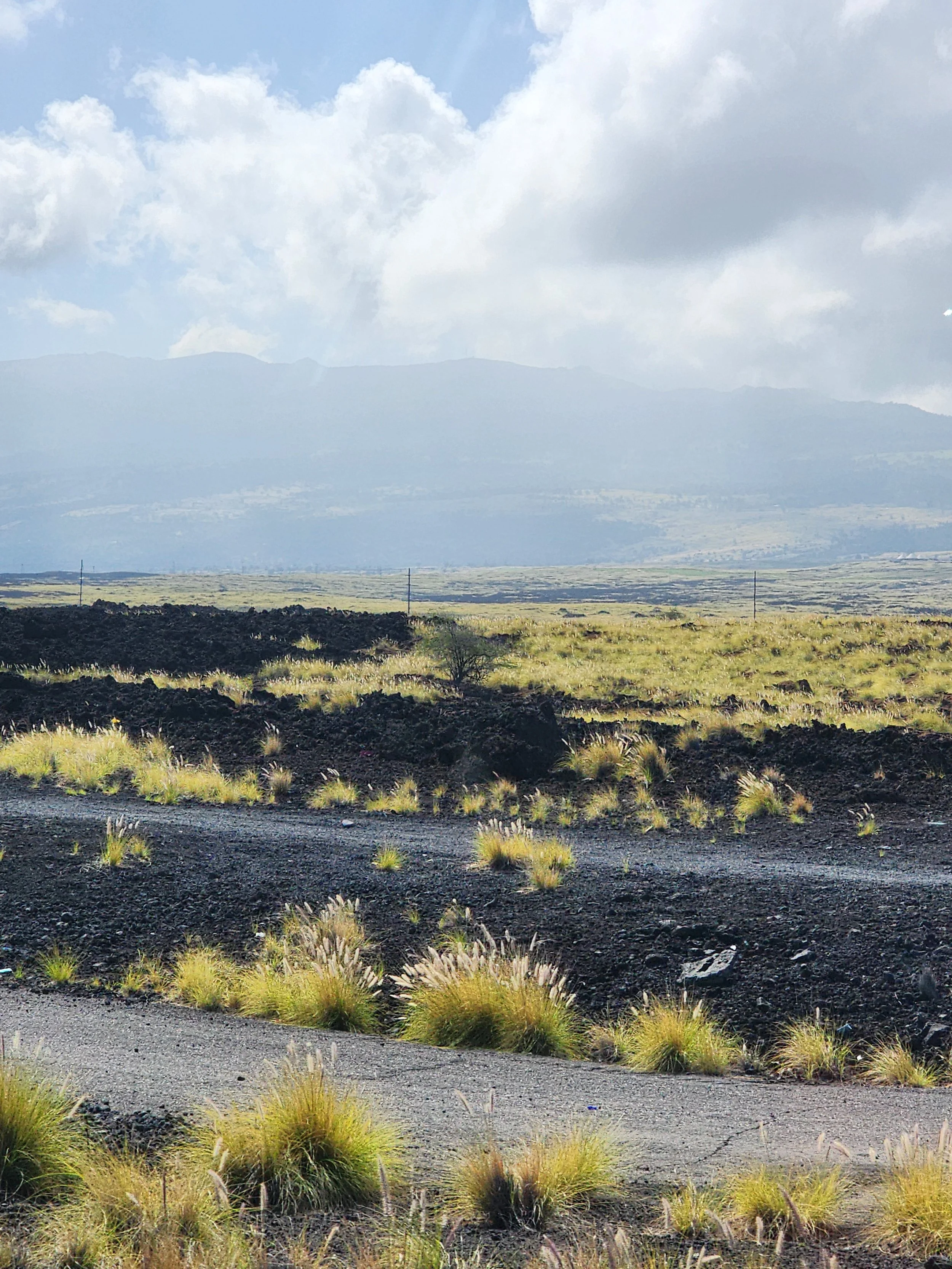 Lava Fields 