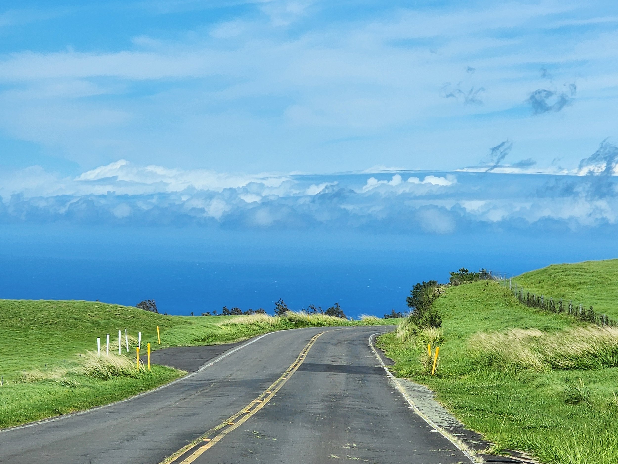 Kohala Mountain Road