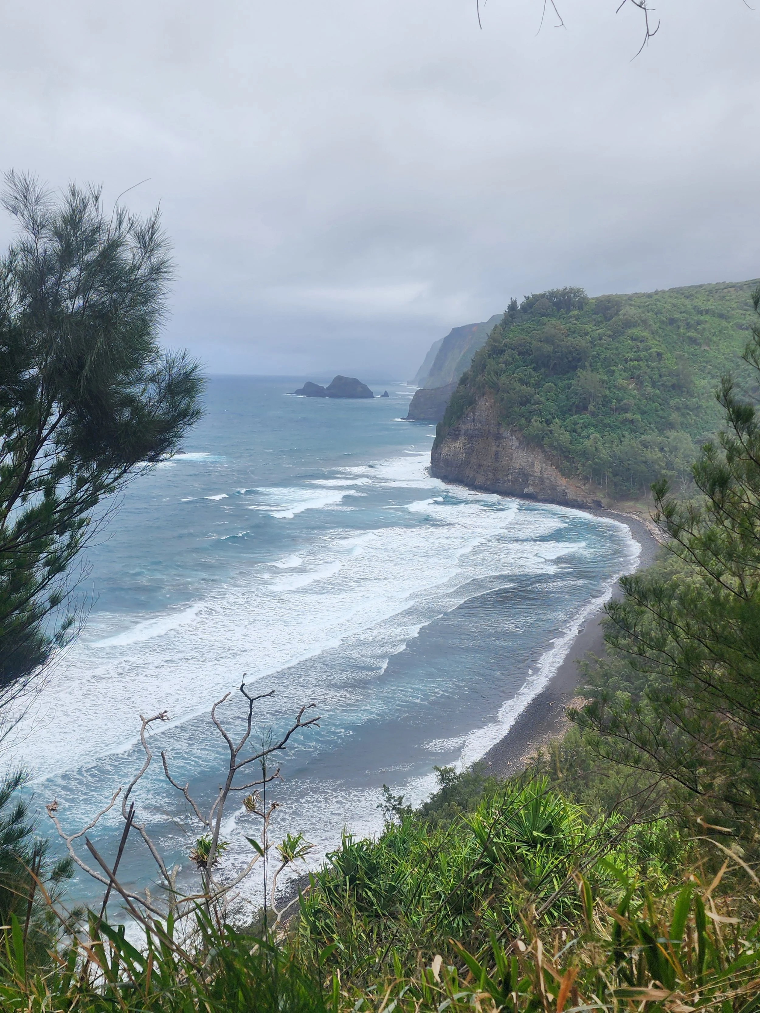 Top of Pololū Valley Lookout