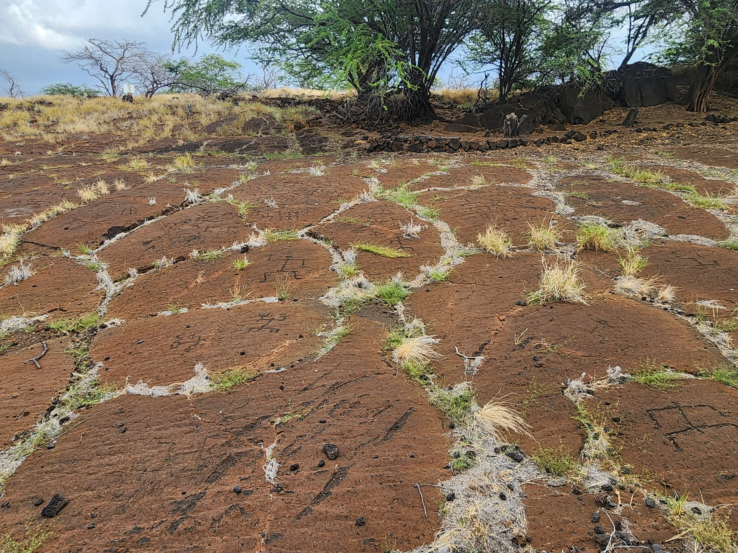 Puakō Petroglyph Archaeological Preserve