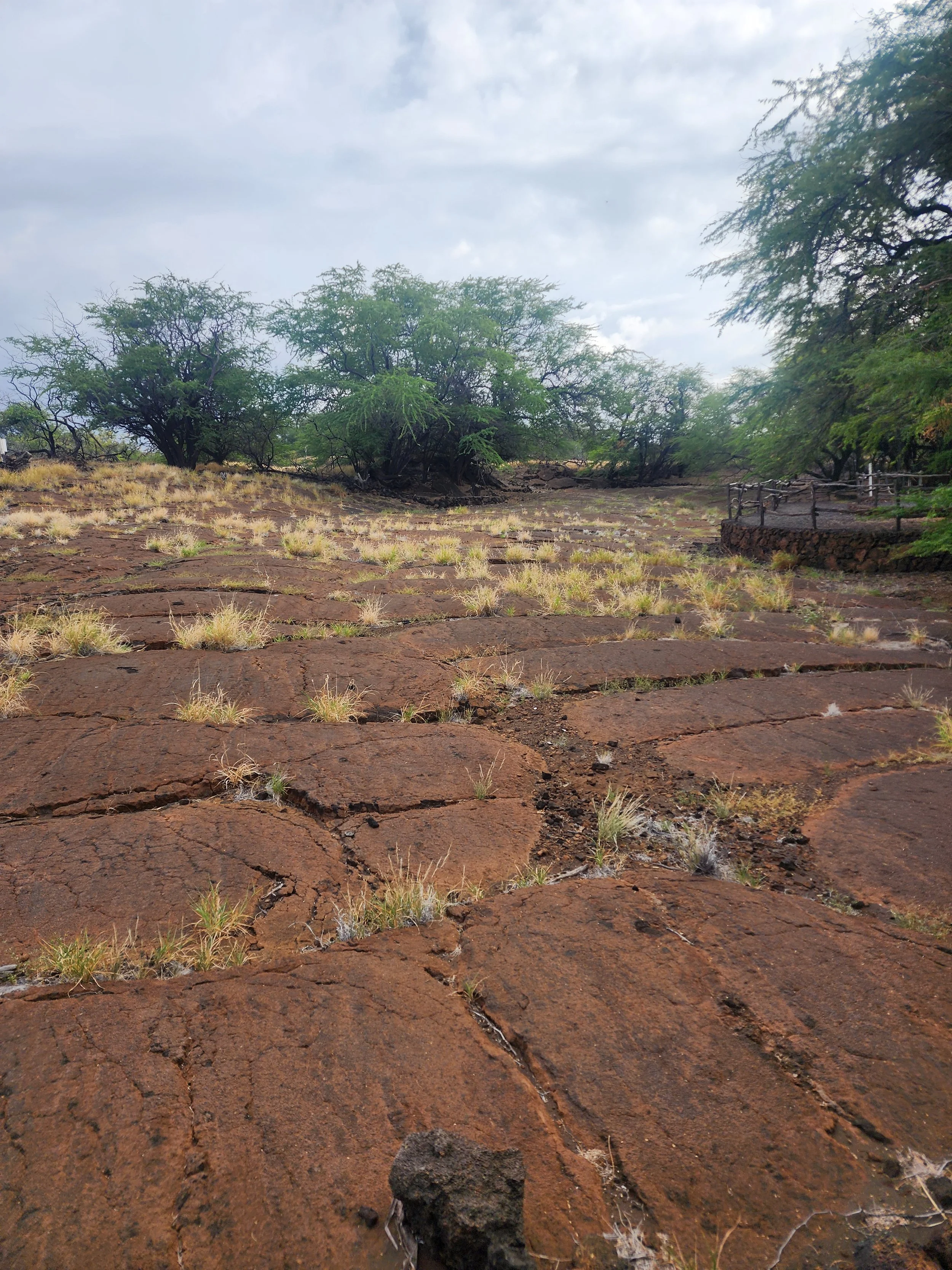 Puakō Petroglyphs