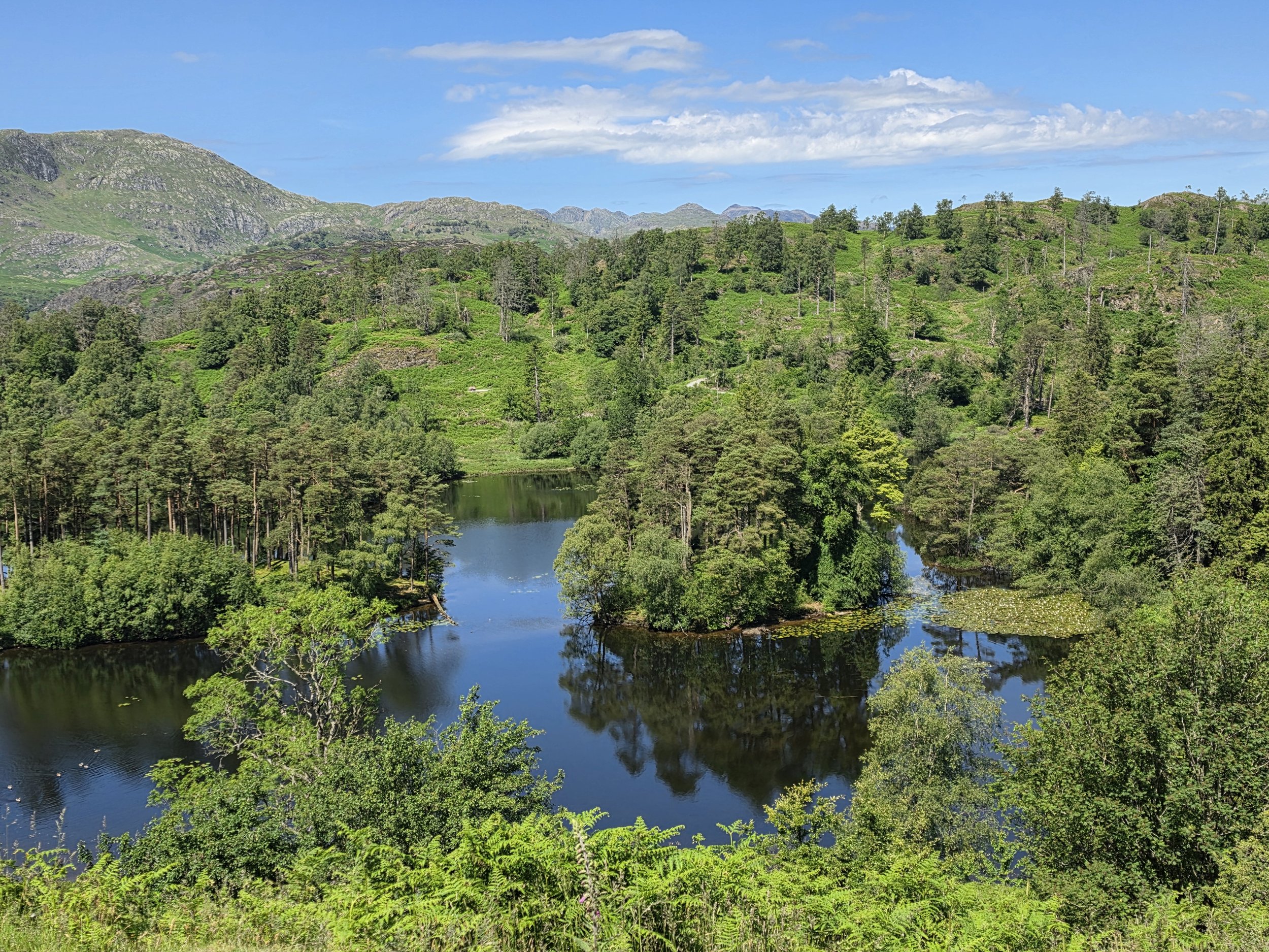 Viewpoint of Tarn Hows