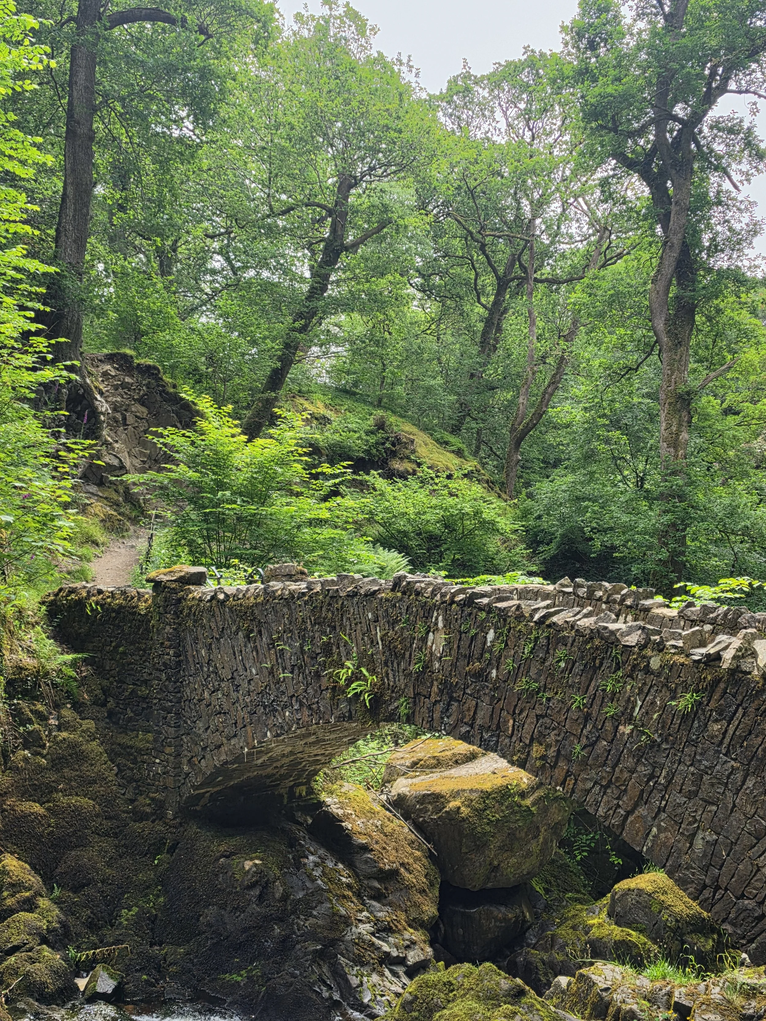 Bridge near Aira Force