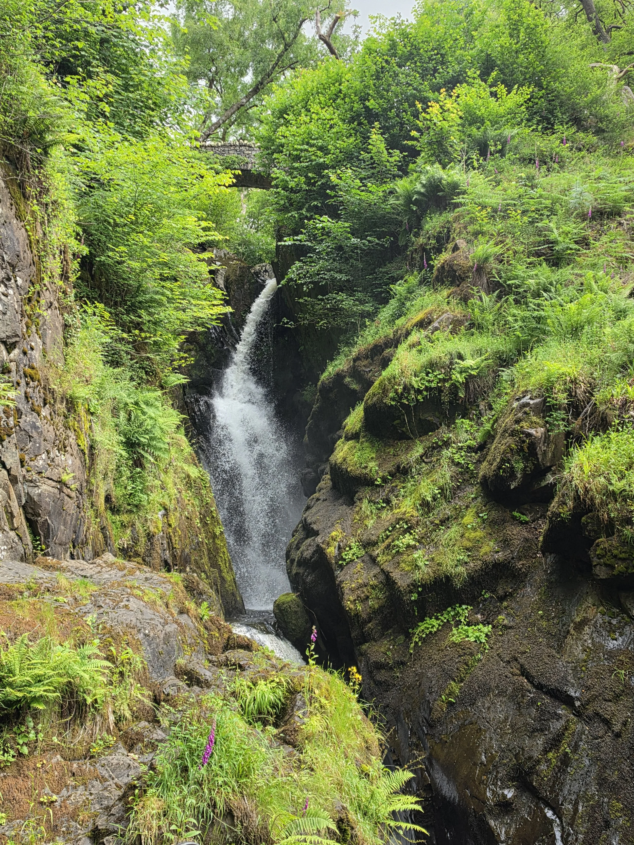 Aira Force