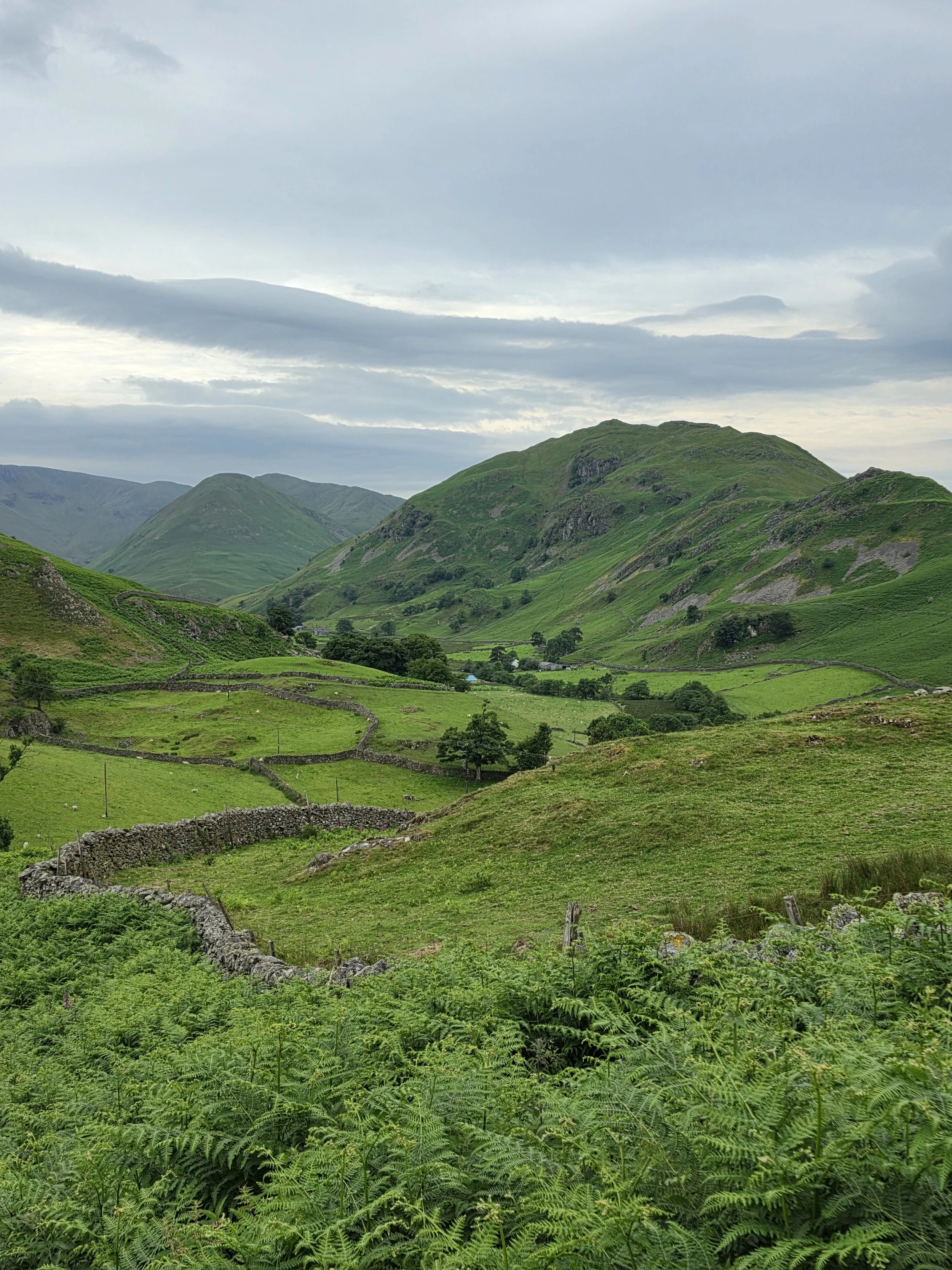 Lake District meadows