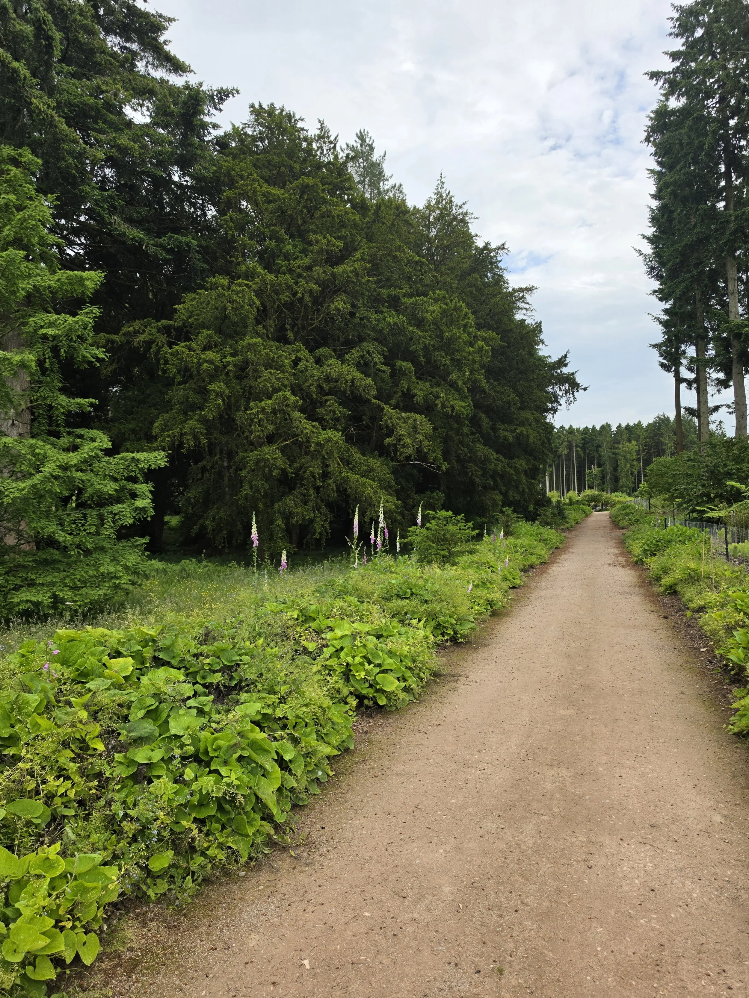 Walking path near Lowther Castle