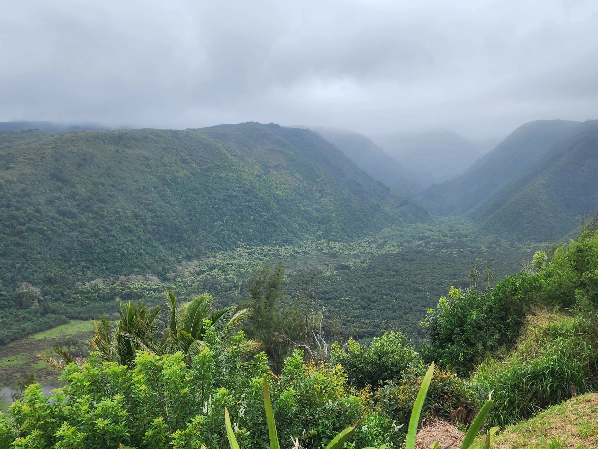Walking down the path at Pololū Valley Lookout