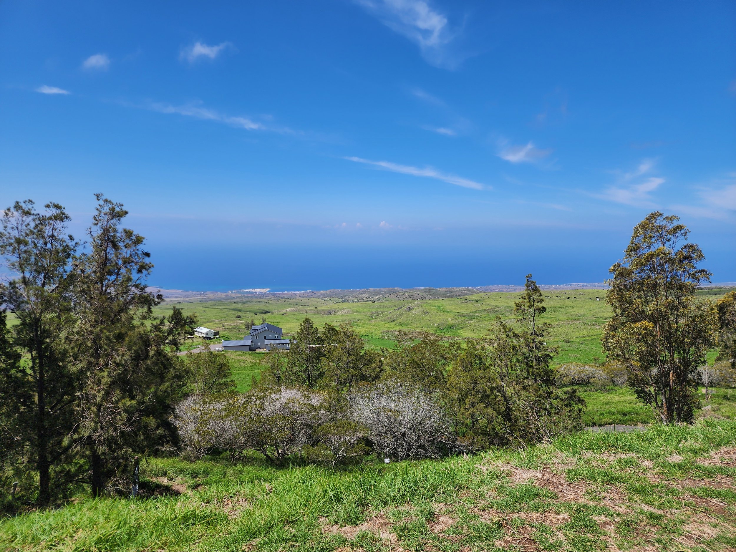 Viewpoint on Kohala Mountain Road