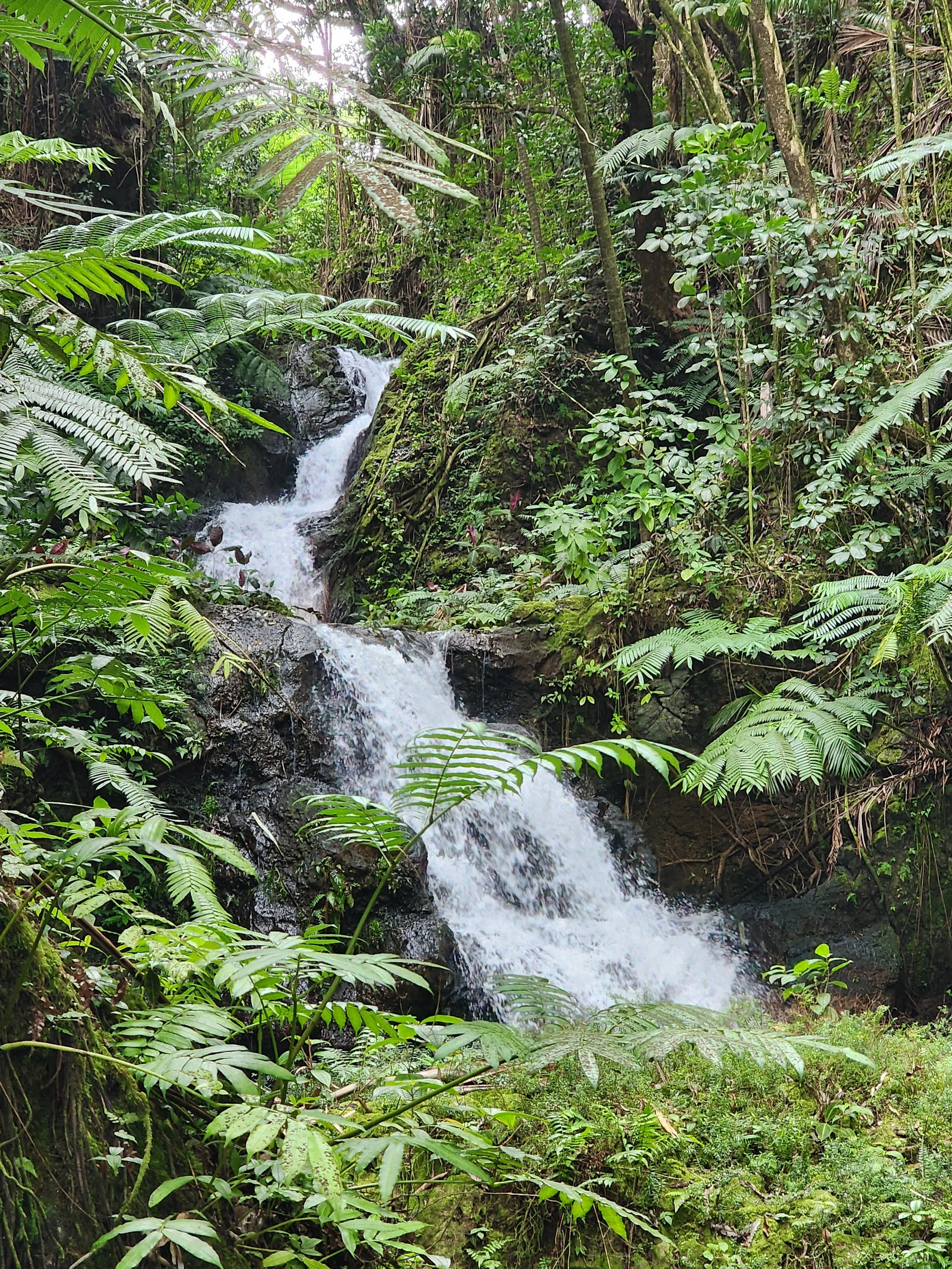 Onomea Falls