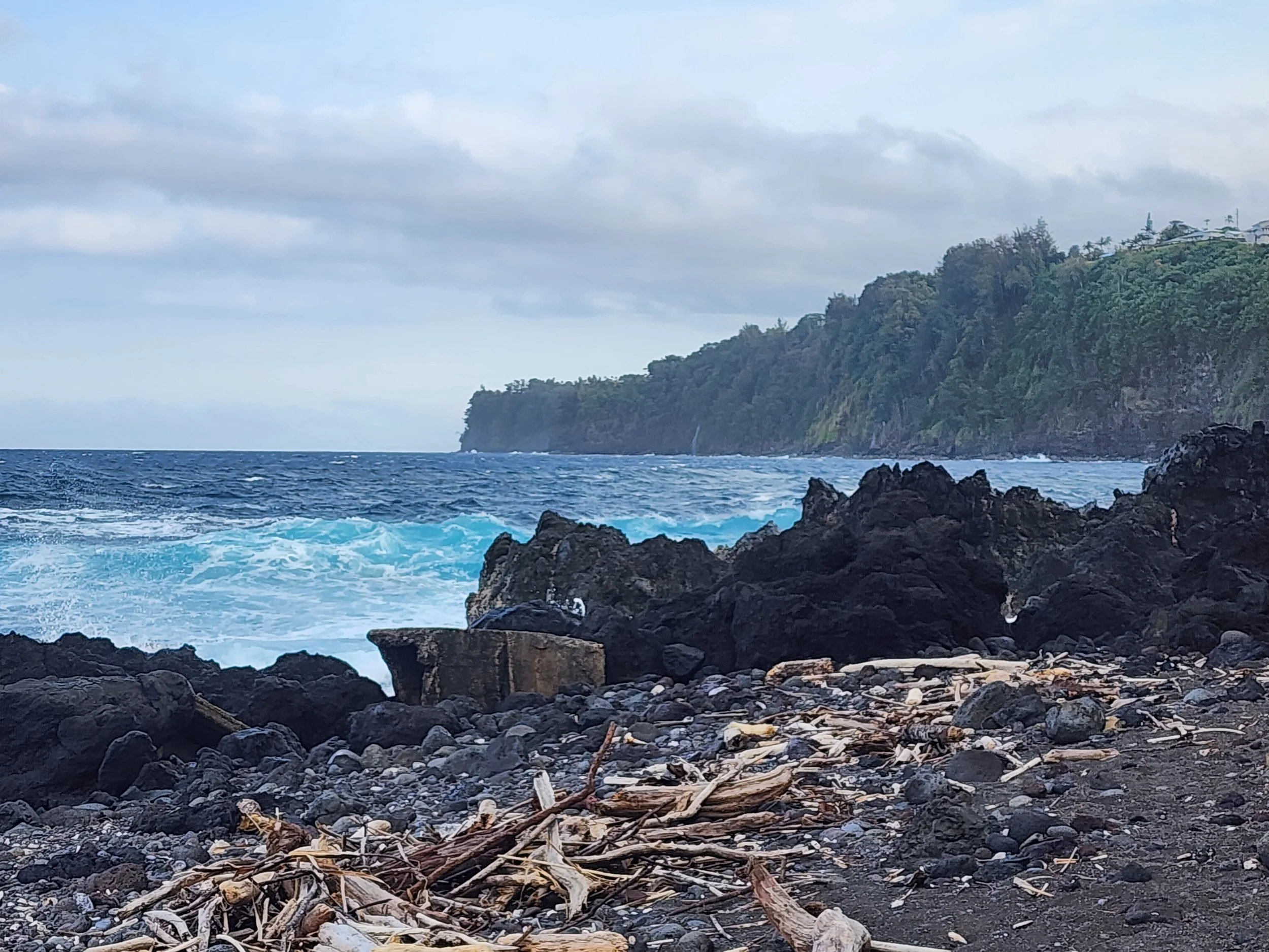 View from Laupāhoehoe Point