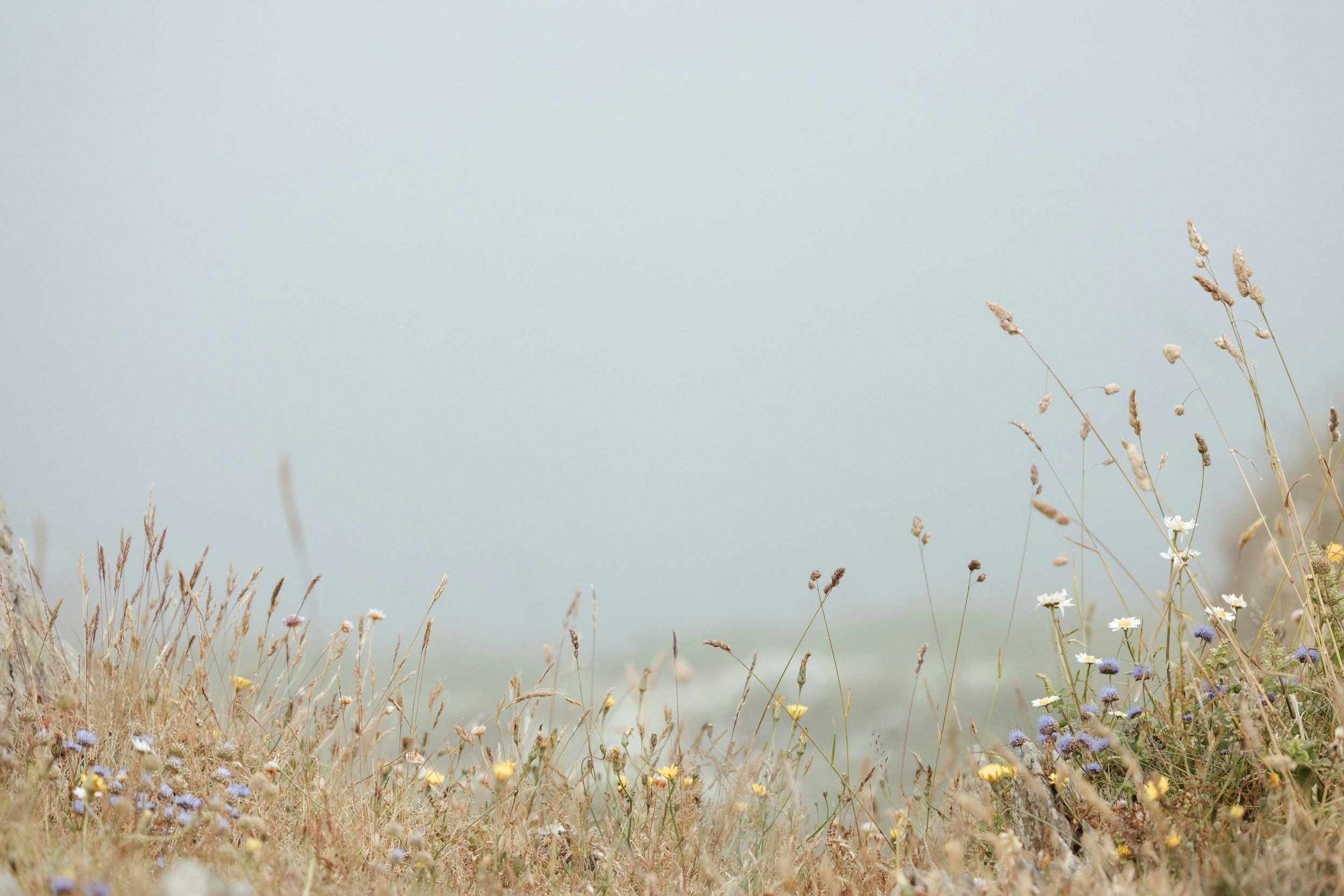 What to Expect in Your First Therapy Session