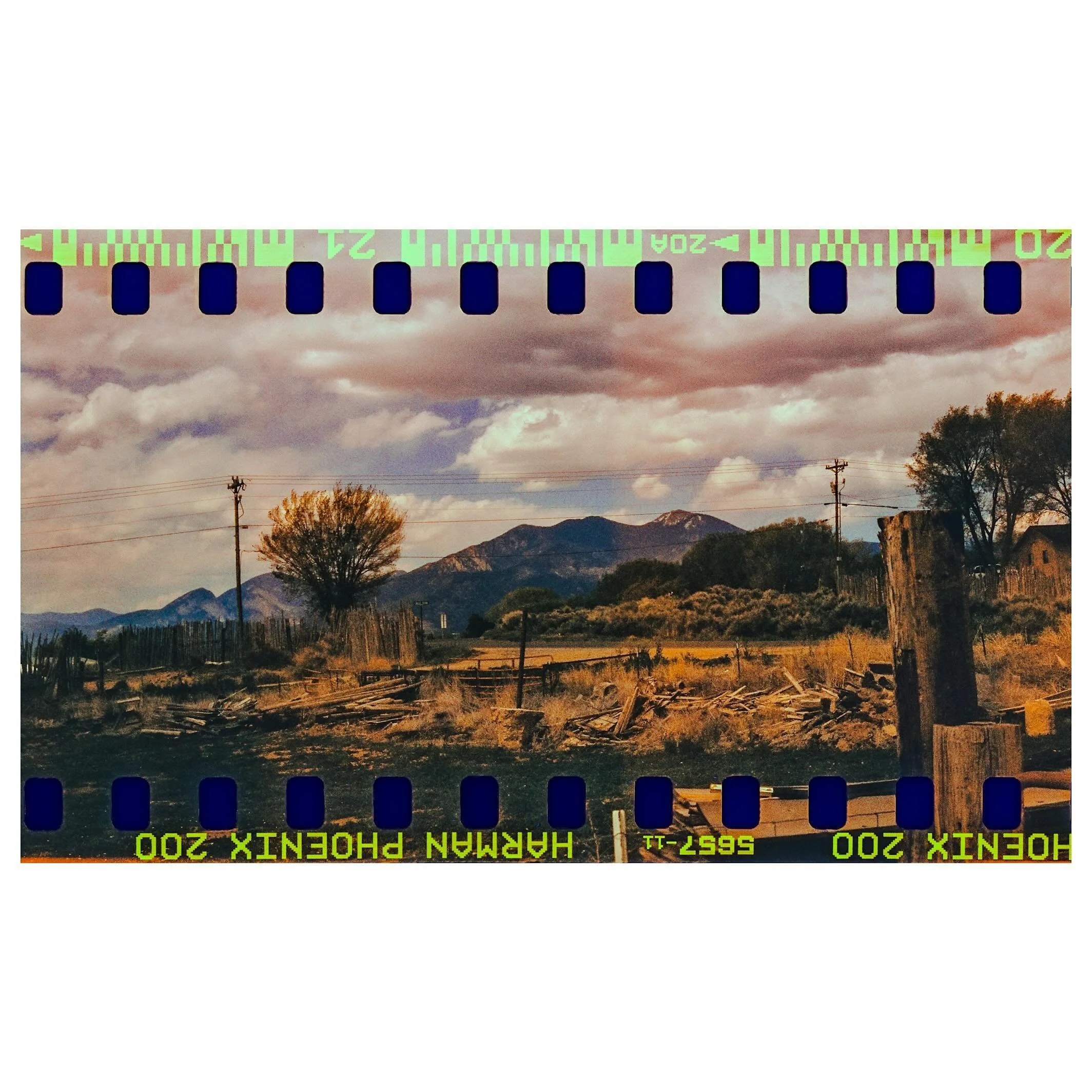 Been very excited to post more of this experiment. I feel like I got a lot of great shots with this roll and how I was able to use it.
&bull;
Camera 📸: #rolleiflex35f 
Film 🎞️: @harmanphoto Phoenix 200 (+1 stop)
Film lab 🧪: @pictureperfectfilmlab 