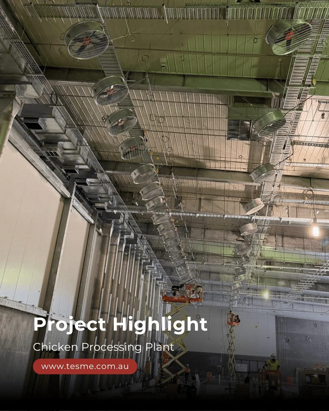 Project Update | Chicken Processing Plant 🏗️⚡

Progress is powering ahead on this large-scale food production facility.

TES delivered the design and installation of power and control circuits to support multiple EC-driven live bird crate ventilatio