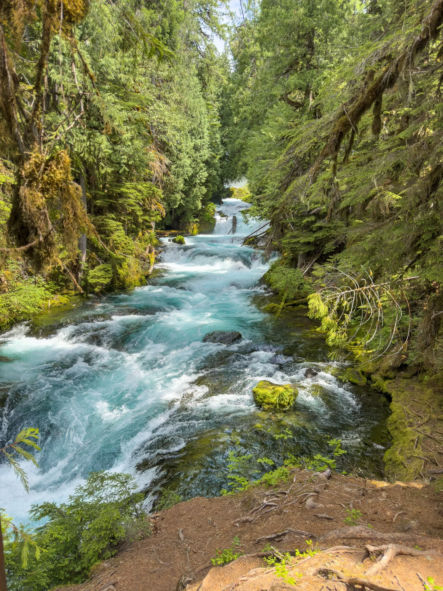 The crystal-clear McKenzie River rushing through a lush forest corridor, with vibrant blue water and moss-covered rocks lining the banks.
