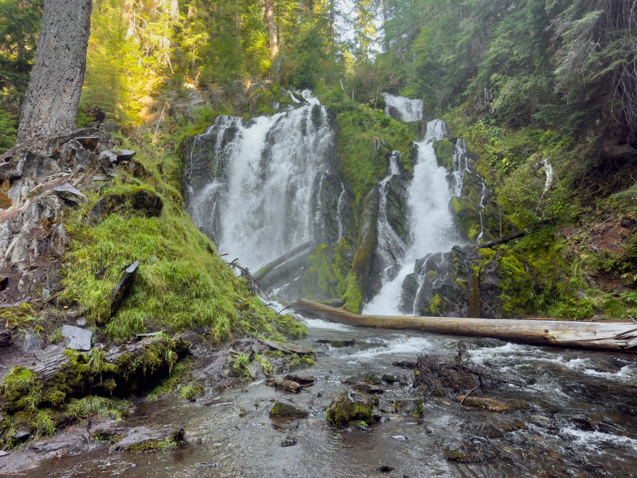 National Creek Falls cascading over mossy rocks in multiple streams, with fallen logs in the foreground and lush green forest surrounding the base