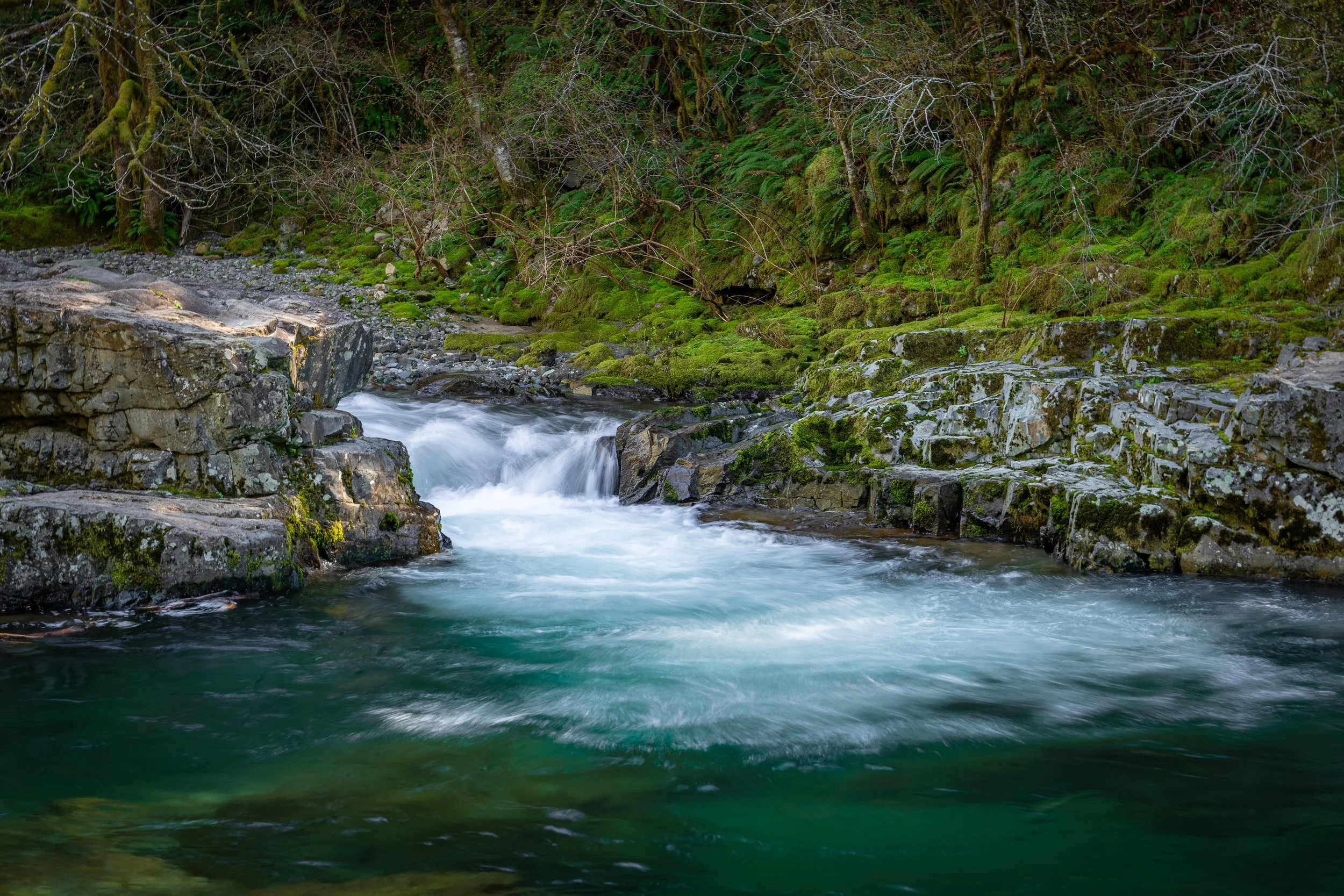  Sunset Falls Area along the East Fork Lewis River in Washington   
