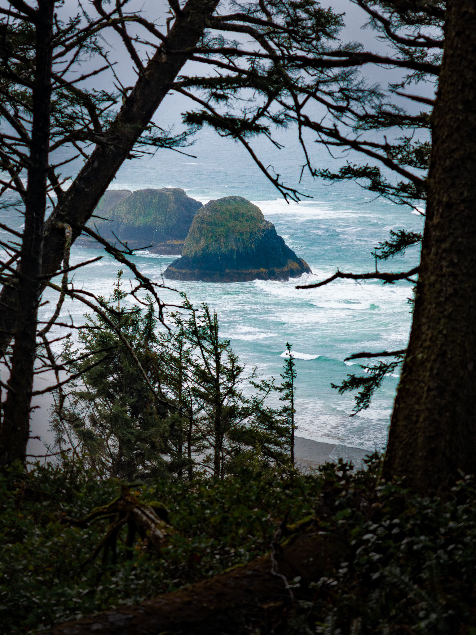  Stormy, wet, and beautiful morning at Ecola State Park in Oregon   