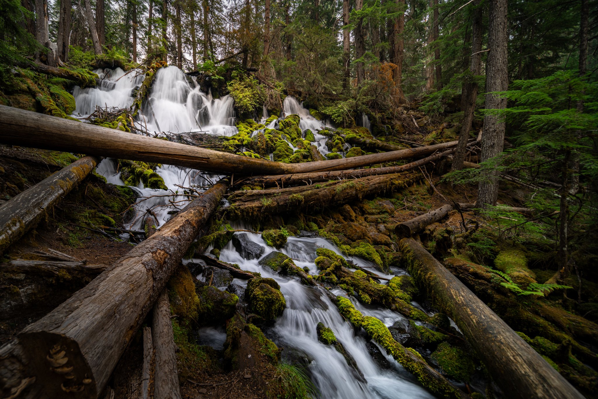  Early morning at Clearwater Falls in Oregon   