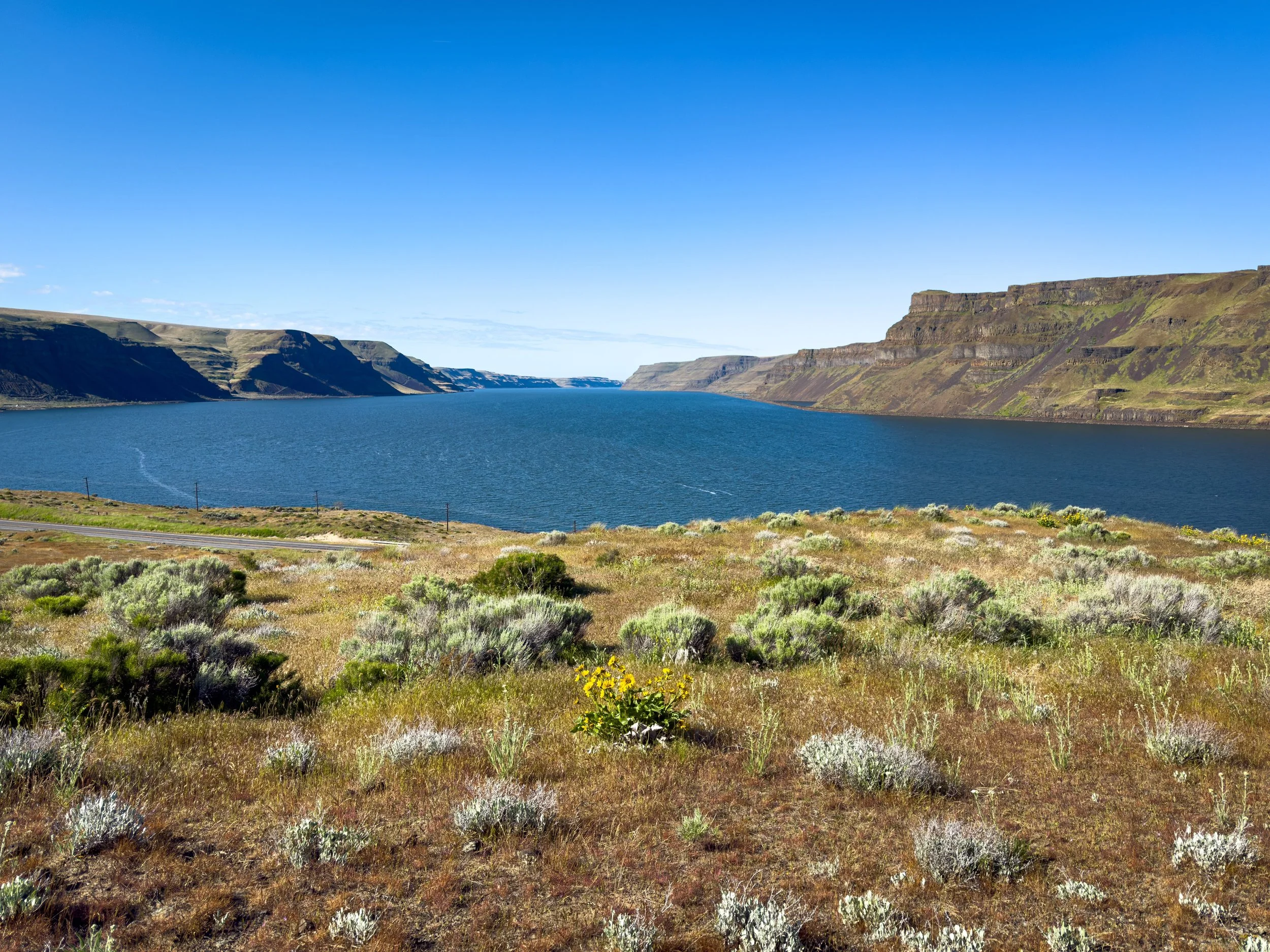 > View of the Columbia River winding through basalt canyon walls, seen from a sagebrush-covered ridge near Twin Sisters Rock, Washington.