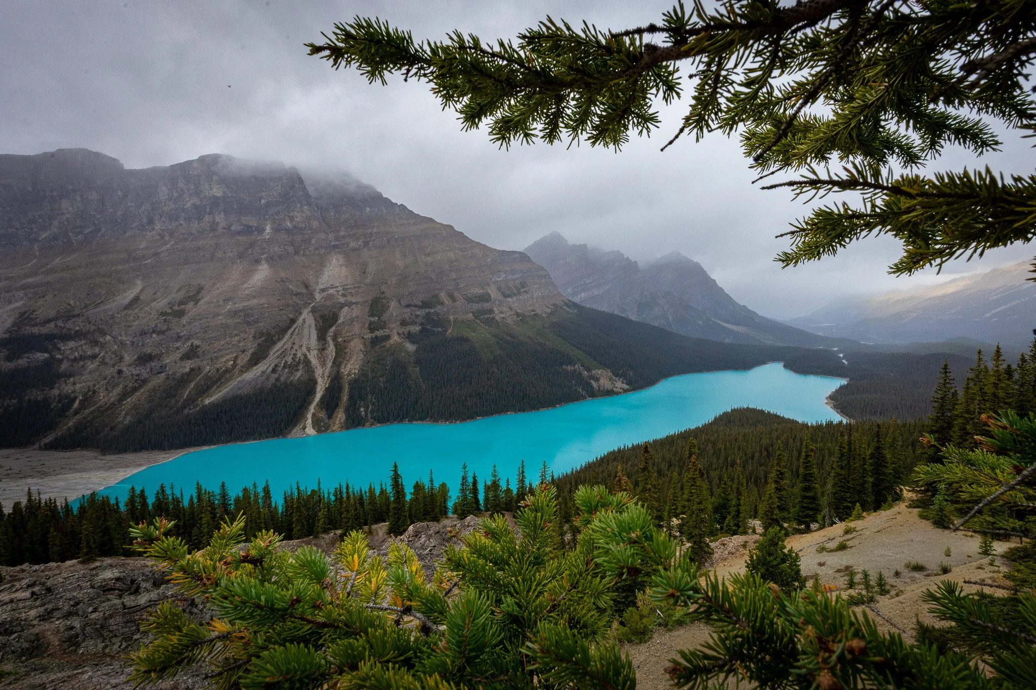  A dark, cloudy, and beautiful day at Peyto Lake in Alberta, Canada   