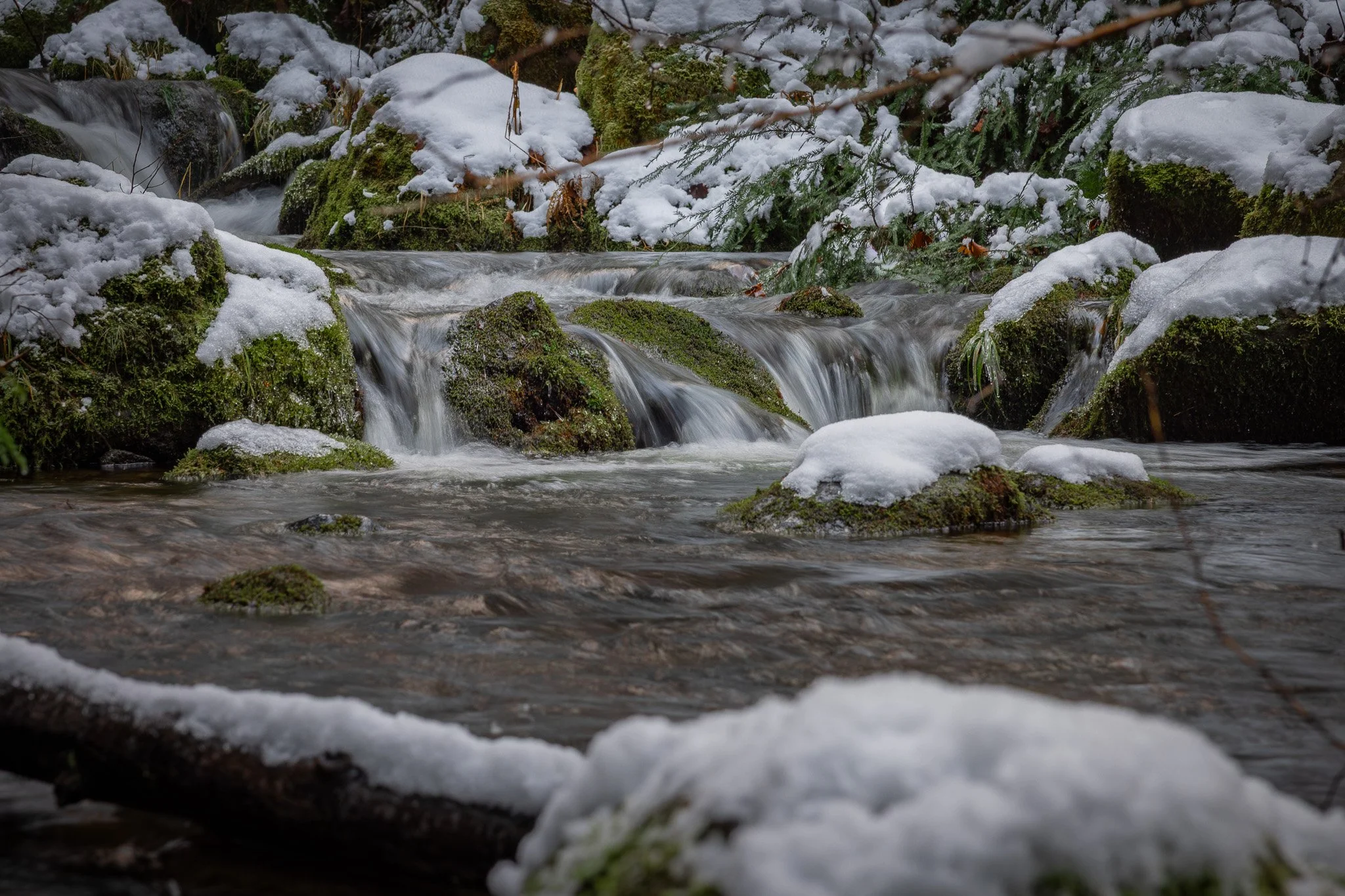 Snow covered mornings at Watson Creek, Oregon (near Watson Falls Parking Area)