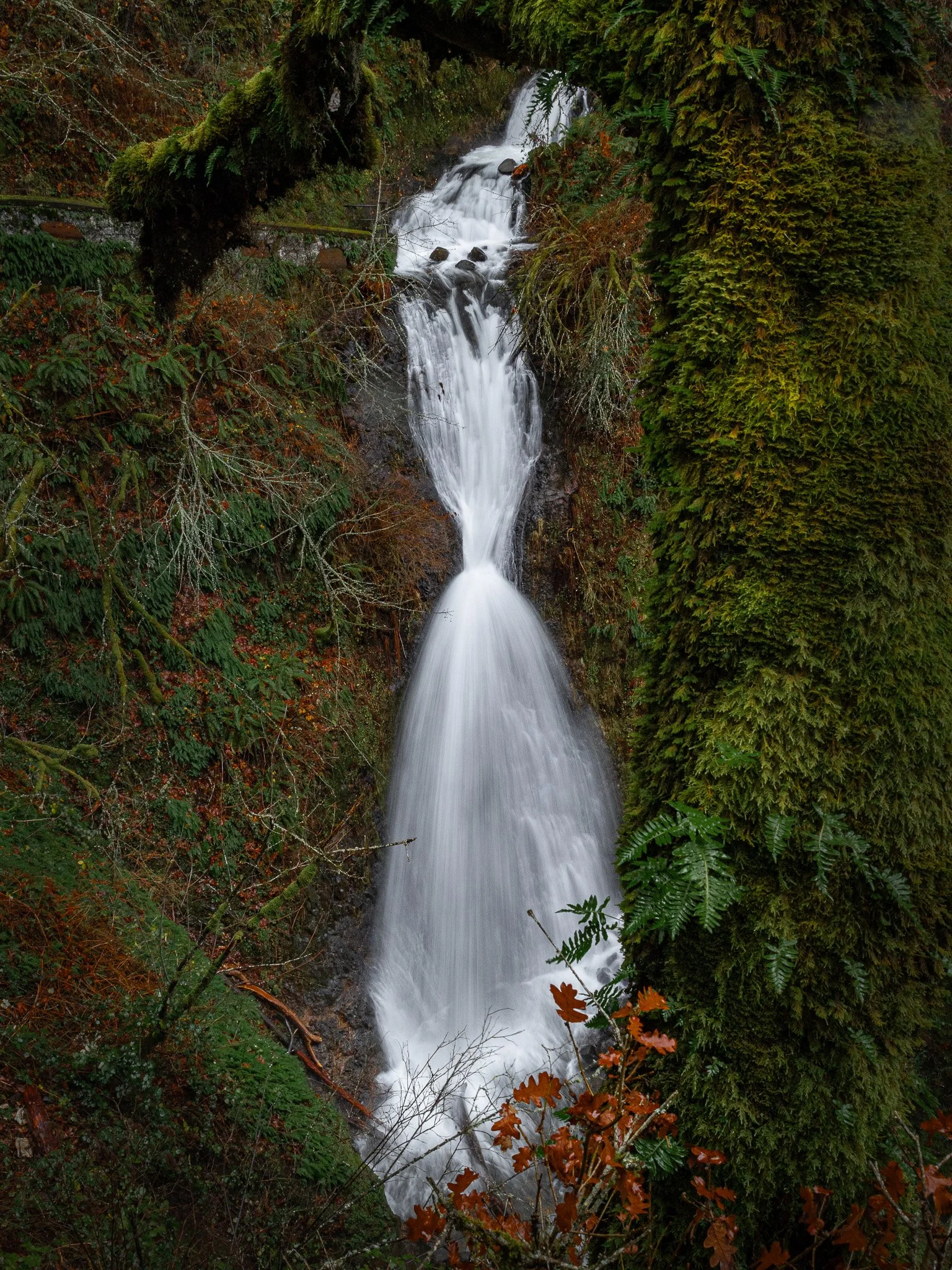 Wet mornings at Shepperd's Dell in the Columbia River Gorge, Oregon