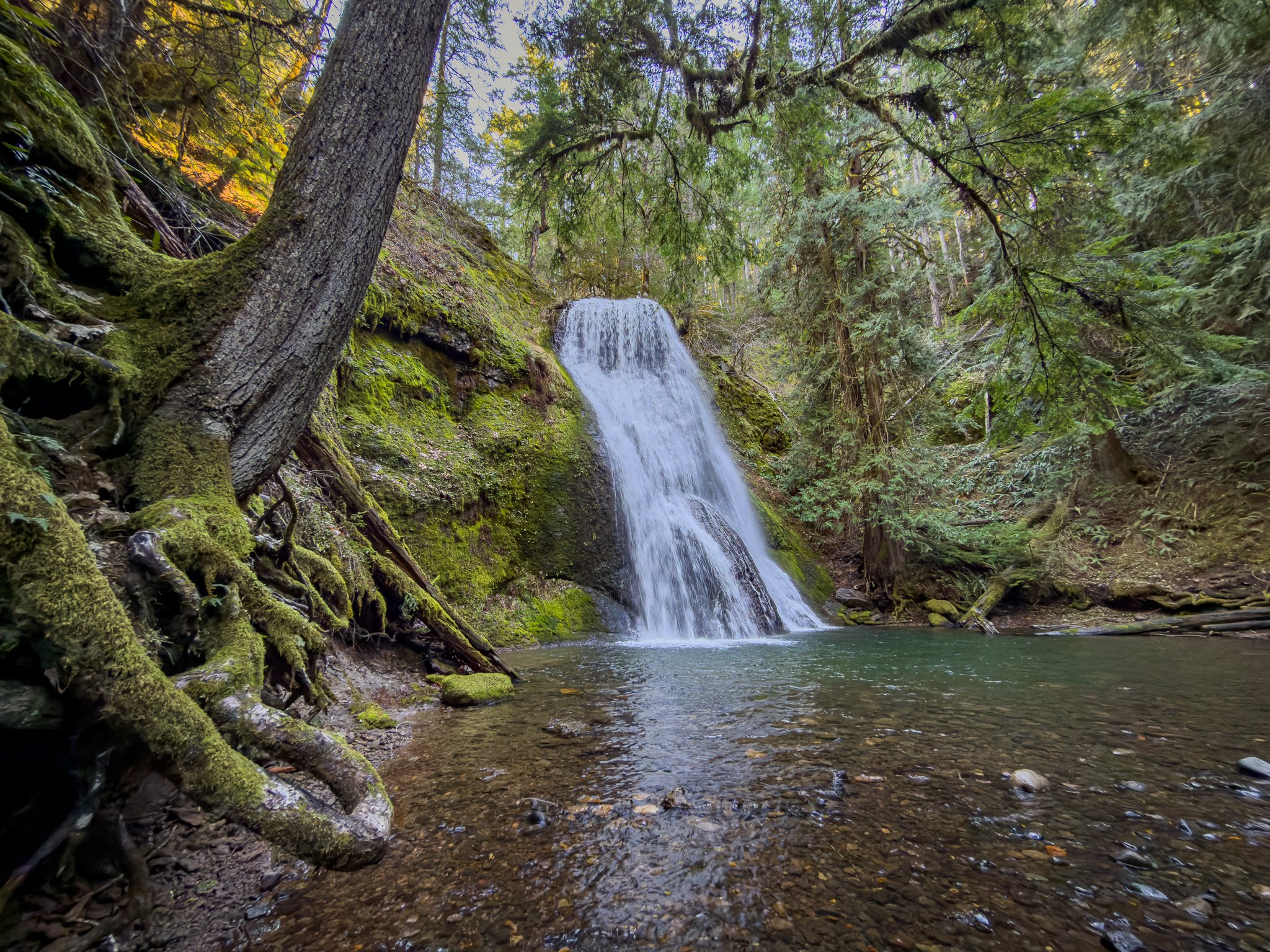 Wide view of Yakso Falls flowing over a moss-covered cliff into a clear pool, surrounded by lush evergreen forest and exposed tree roots along the shoreline.