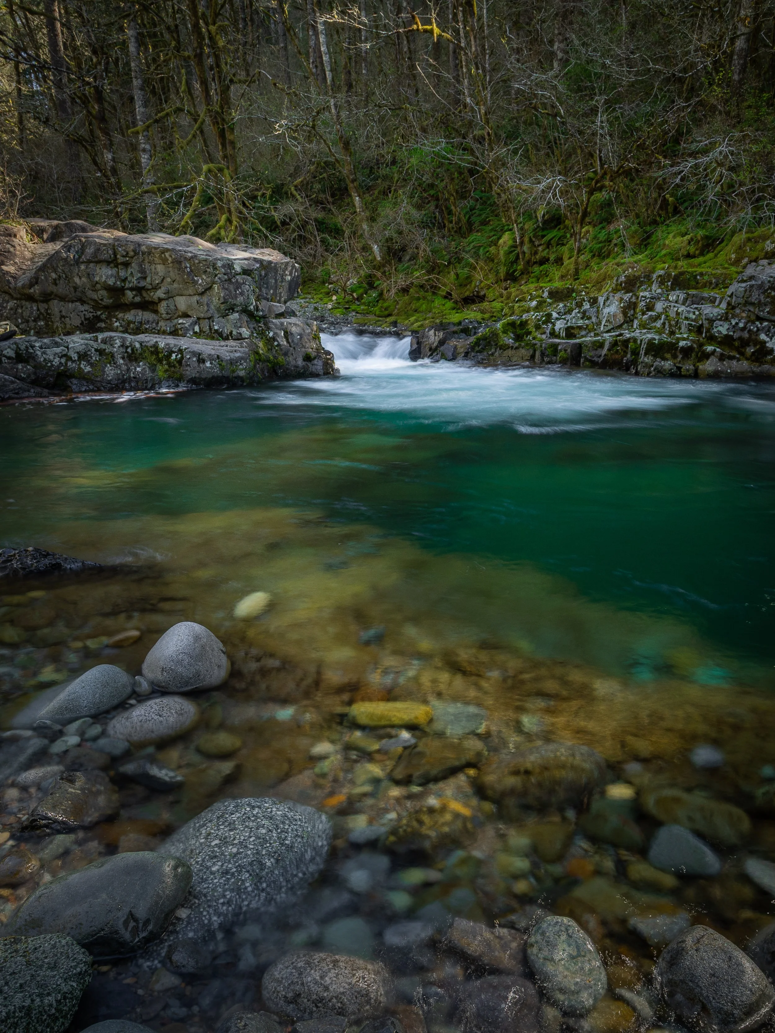  Sunset Falls Area along the East Fork Lewis River in Washington   