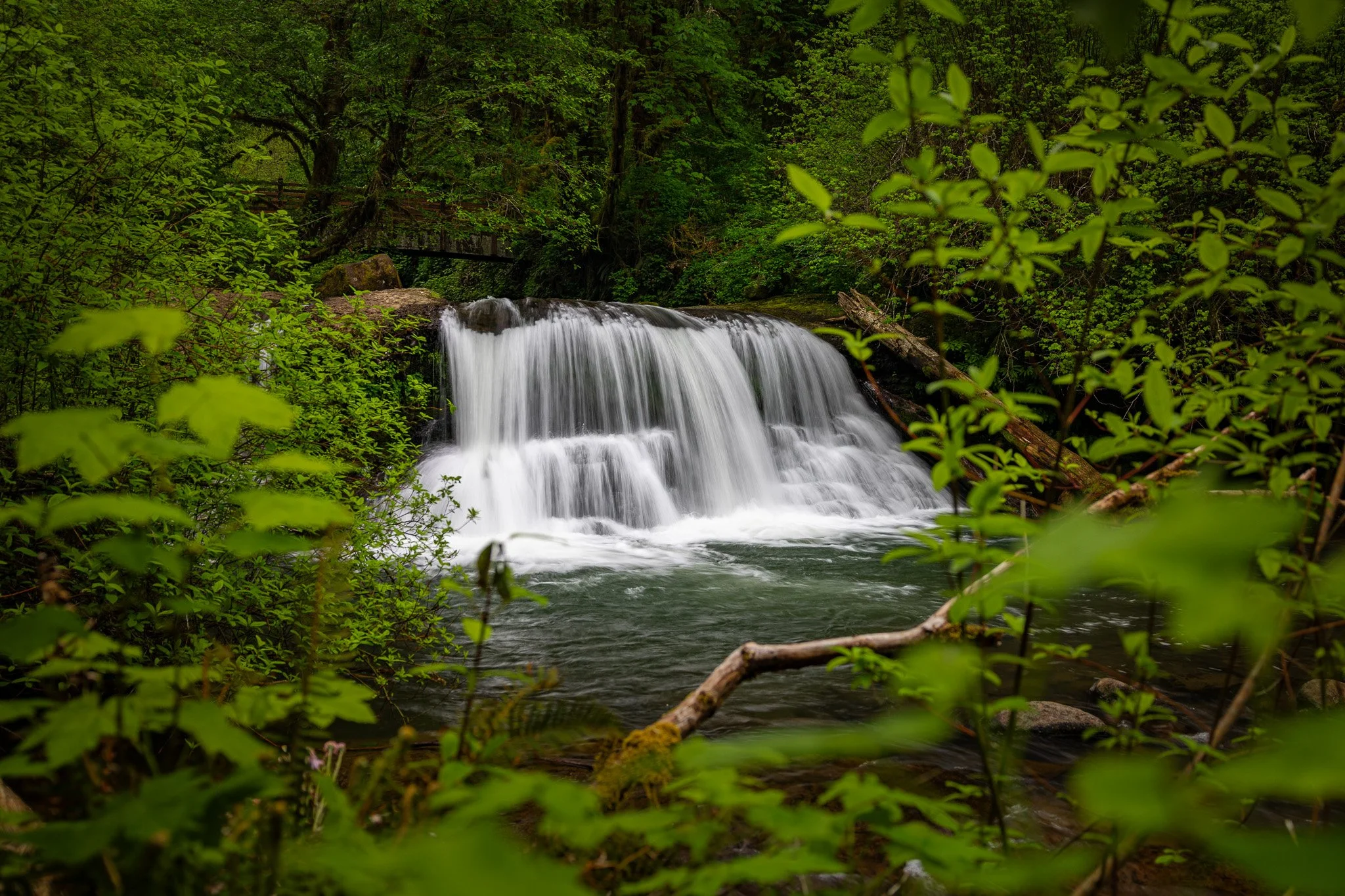  Exploring around the small, but beautiful, Lower McDowell Creek Falls in Oregon   