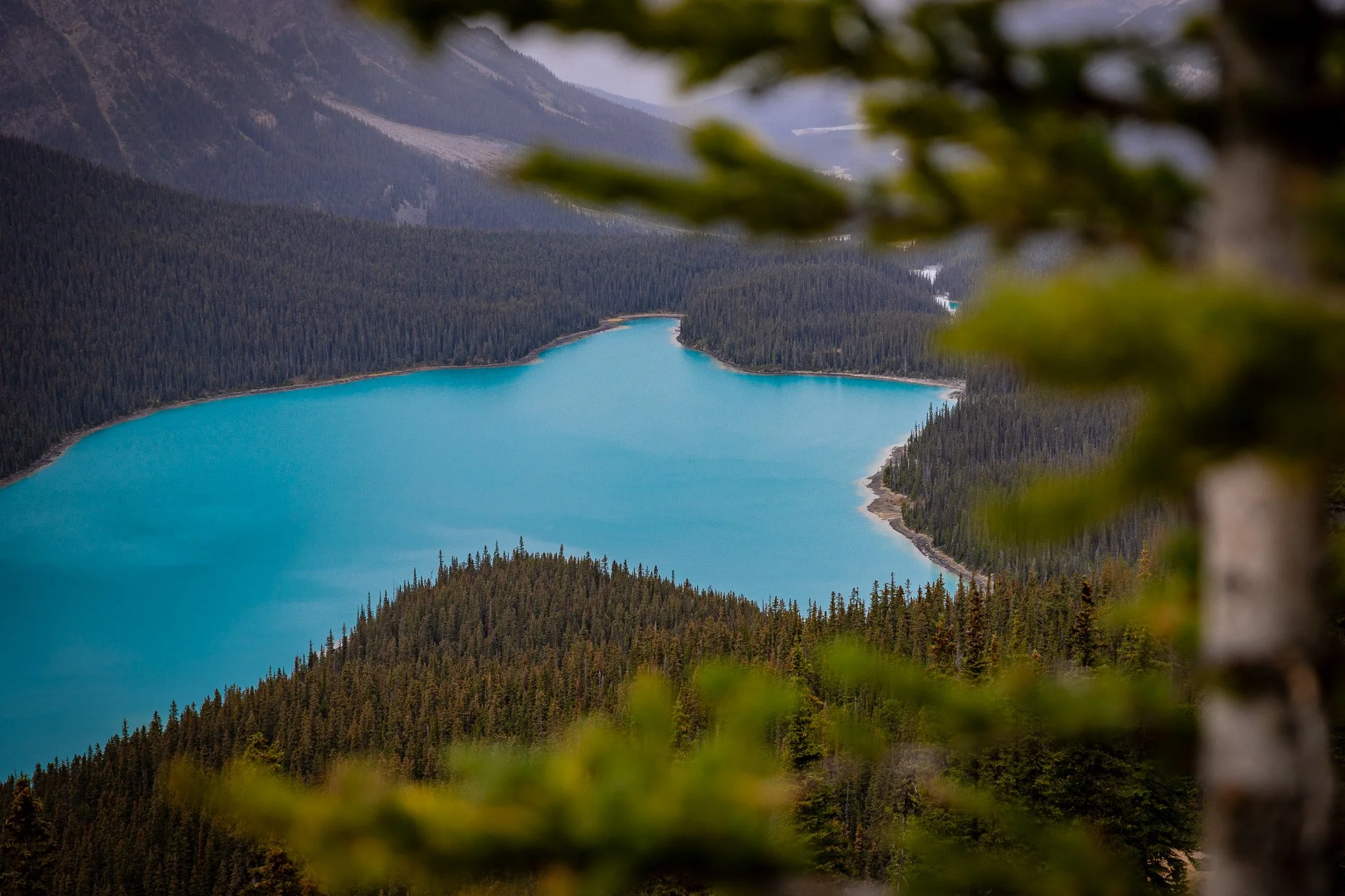  A dark, cloudy, and beautiful day at Peyto Lake in Alberta, Canada   