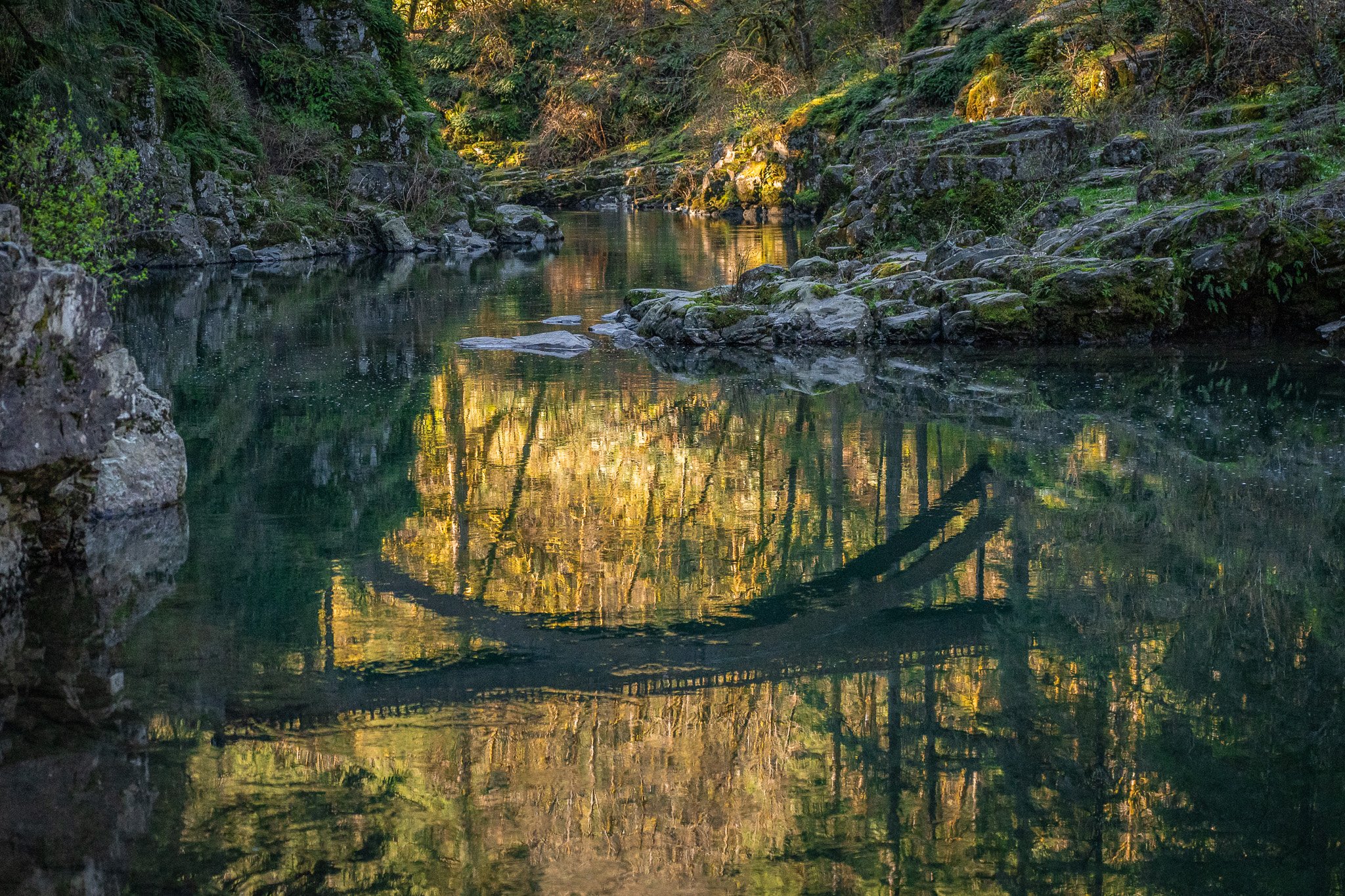  Morning Exploring Around Moulton Bridge in Washington   