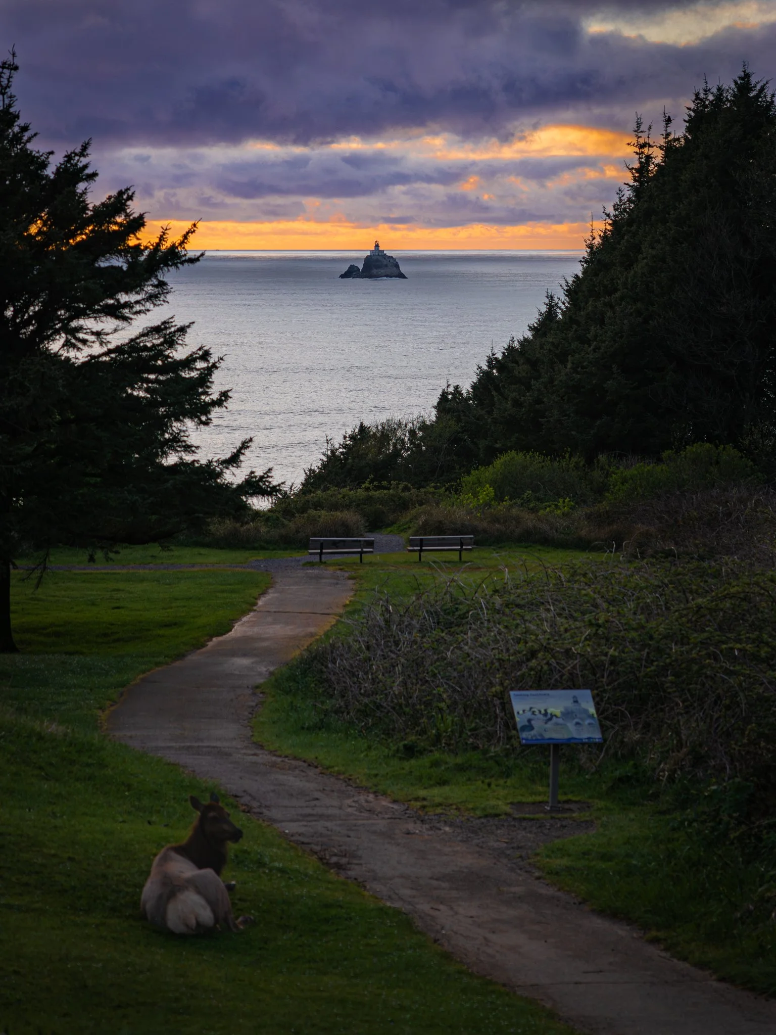  A gorgeous evening exploring Ecola Point in Oregon   