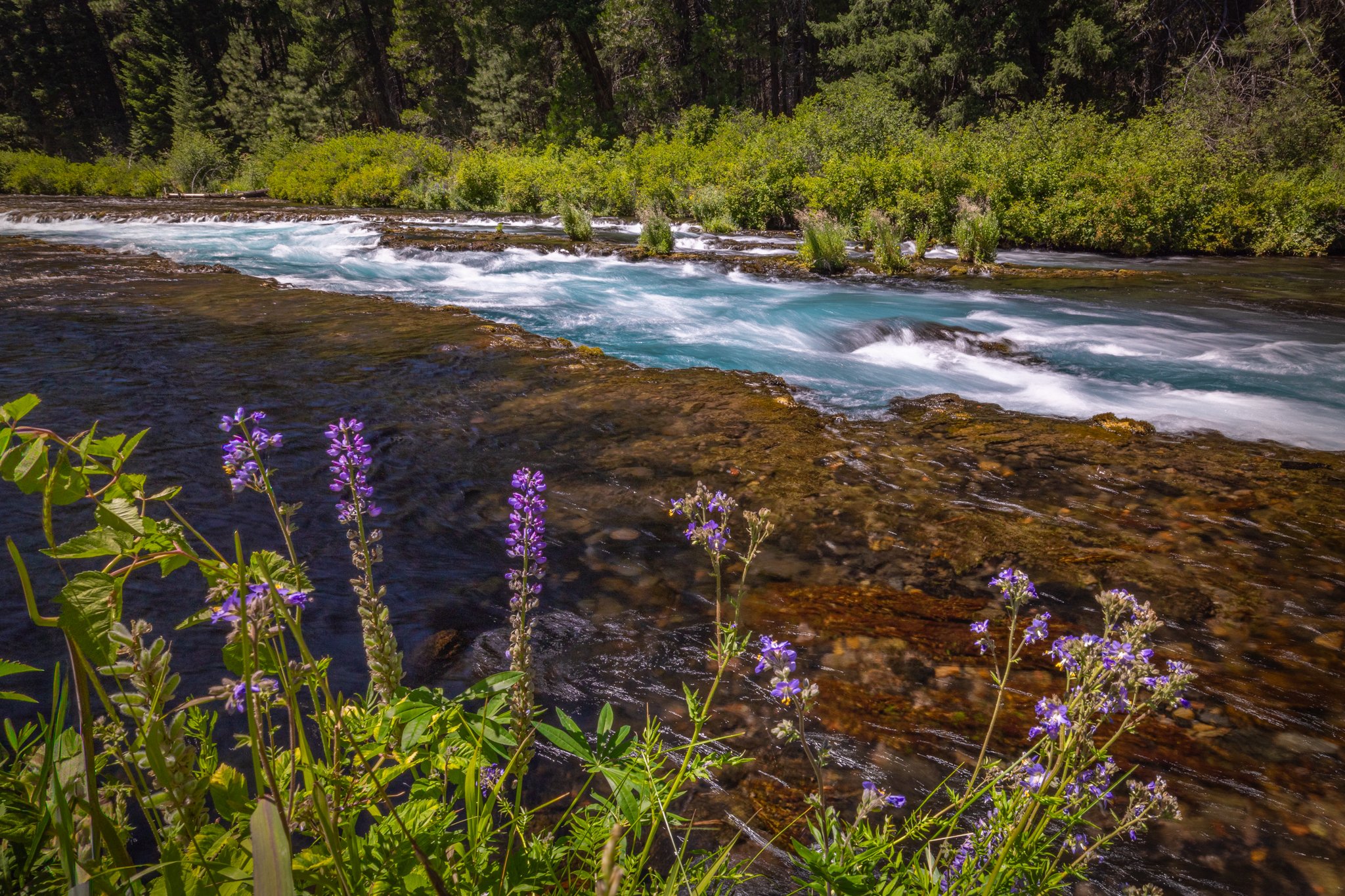  A gorgeous summer day at Wizard Falls in Oregon   
